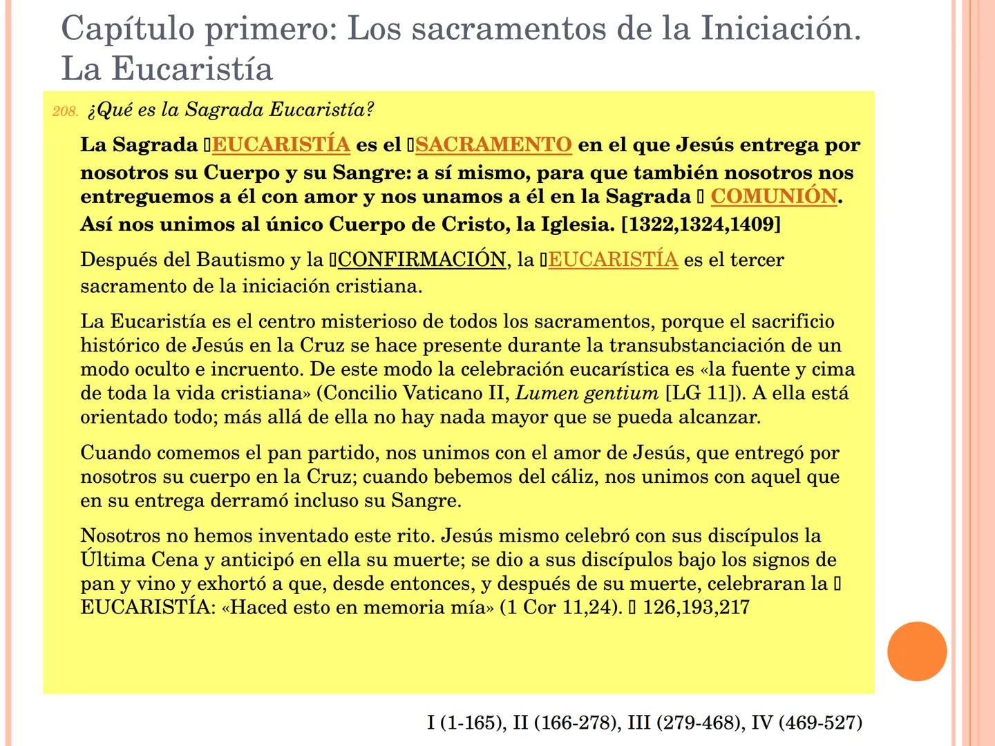 ¡Estudiad el Catecismo
con pasión y constancia!
¡Dedicadle tiempo!
Estudiadlo en el silencio de vuestro cuarto,
leedlo con un amigo,
formad