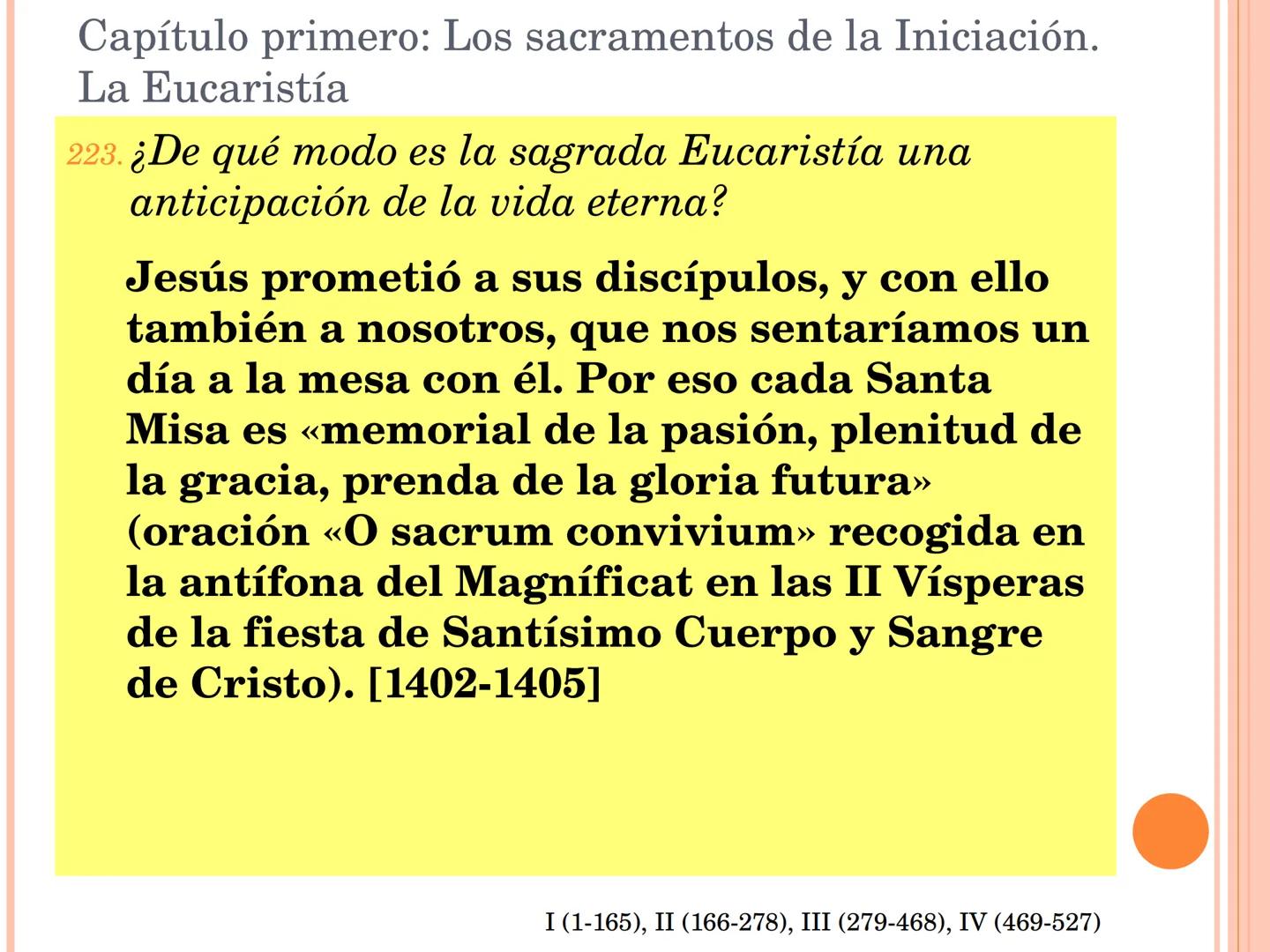 ¡Estudiad el Catecismo
con pasión y constancia!
¡Dedicadle tiempo!
Estudiadlo en el silencio de vuestro cuarto,
leedlo con un amigo,
formad