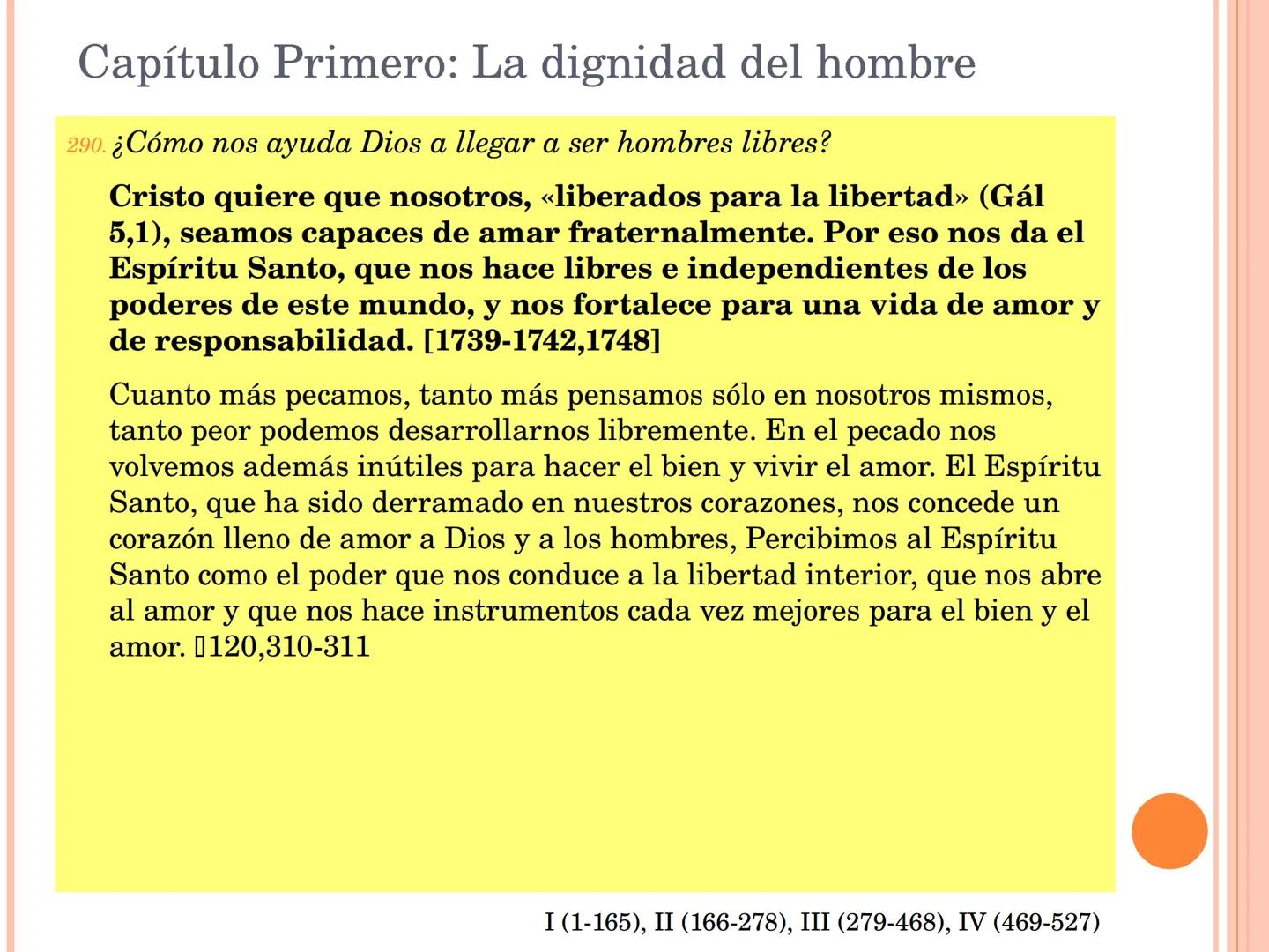 ¡Estudiad el Catecismo
con pasión y constancia!
¡Dedicadle tiempo!
Estudiadlo en el silencio de vuestro cuarto,
leedlo con un amigo,
formad