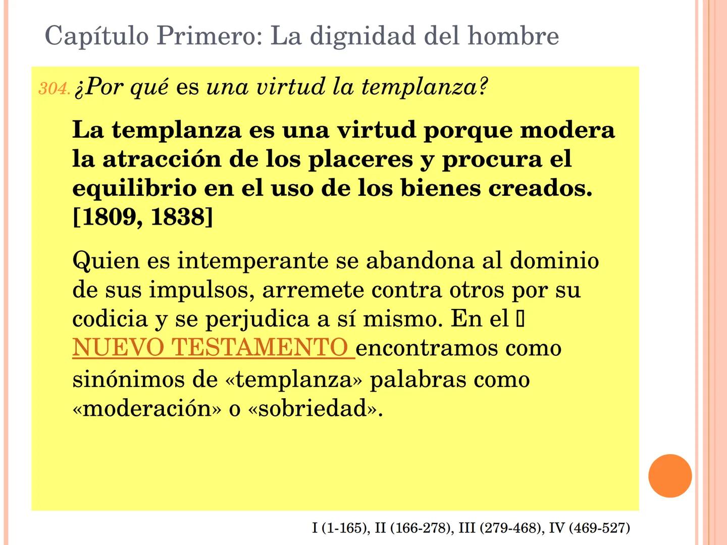 ¡Estudiad el Catecismo
con pasión y constancia!
¡Dedicadle tiempo!
Estudiadlo en el silencio de vuestro cuarto,
leedlo con un amigo,
formad