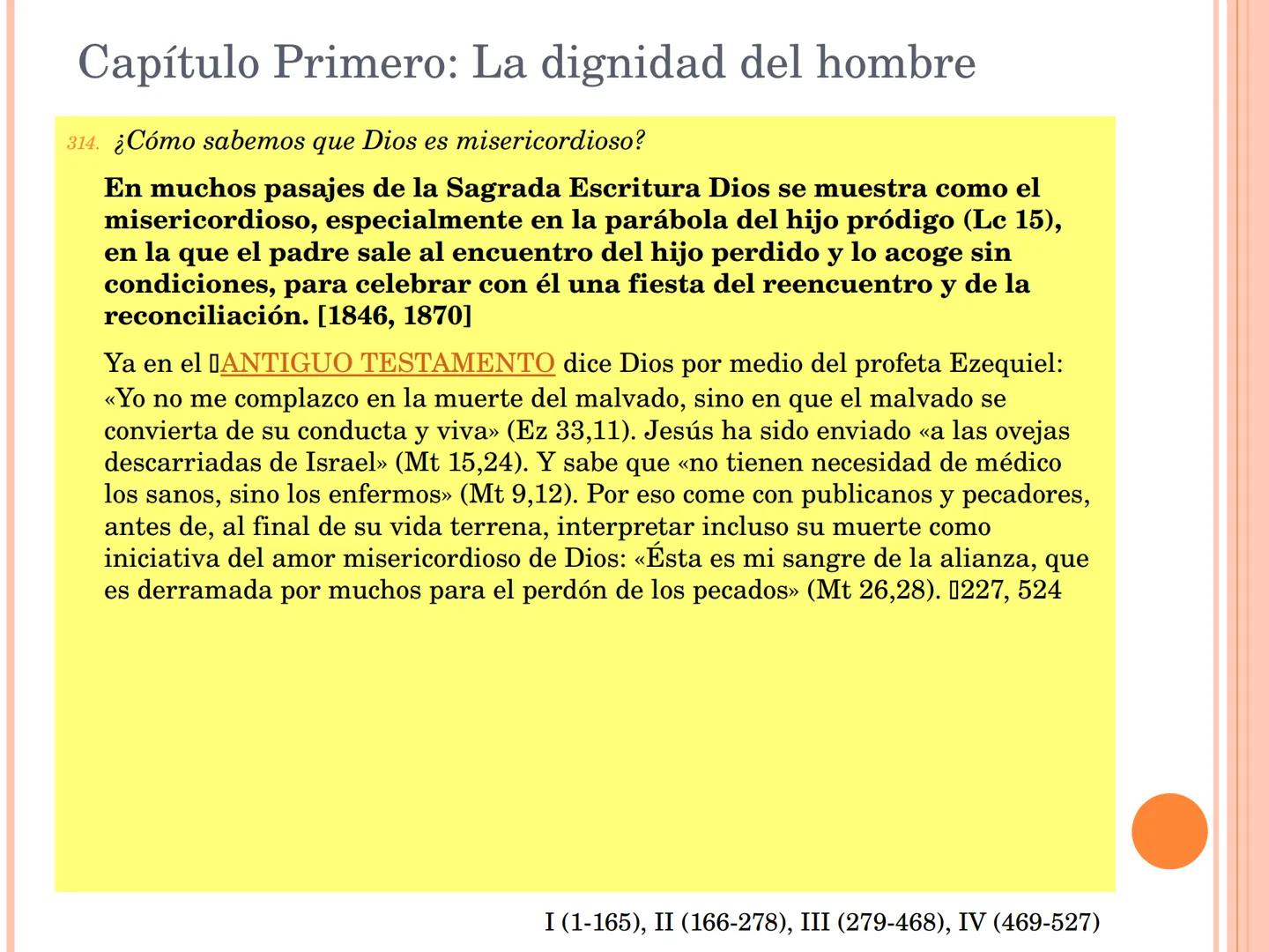 ¡Estudiad el Catecismo
con pasión y constancia!
¡Dedicadle tiempo!
Estudiadlo en el silencio de vuestro cuarto,
leedlo con un amigo,
formad