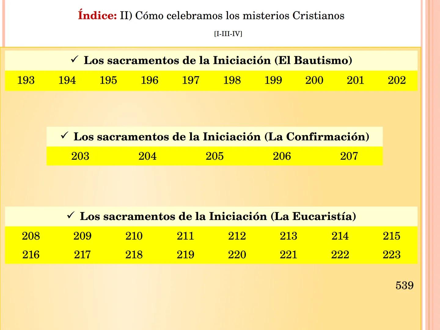 ¡Estudiad el Catecismo
con pasión y constancia!
¡Dedicadle tiempo!
Estudiadlo en el silencio de vuestro cuarto,
leedlo con un amigo,
formad
