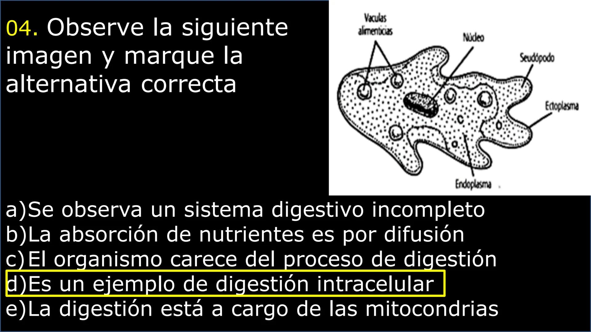 SOPEBIOL
SOCIEDAD PERUANA
DE EDUCADORES
DE BIOLOGÍA
SIENCIAS
DIGESTIÓN
ANIMAL-HUMANA
Lic. Max Alan Obregón Sánchez # AUTÓTROFO
VS
# FO