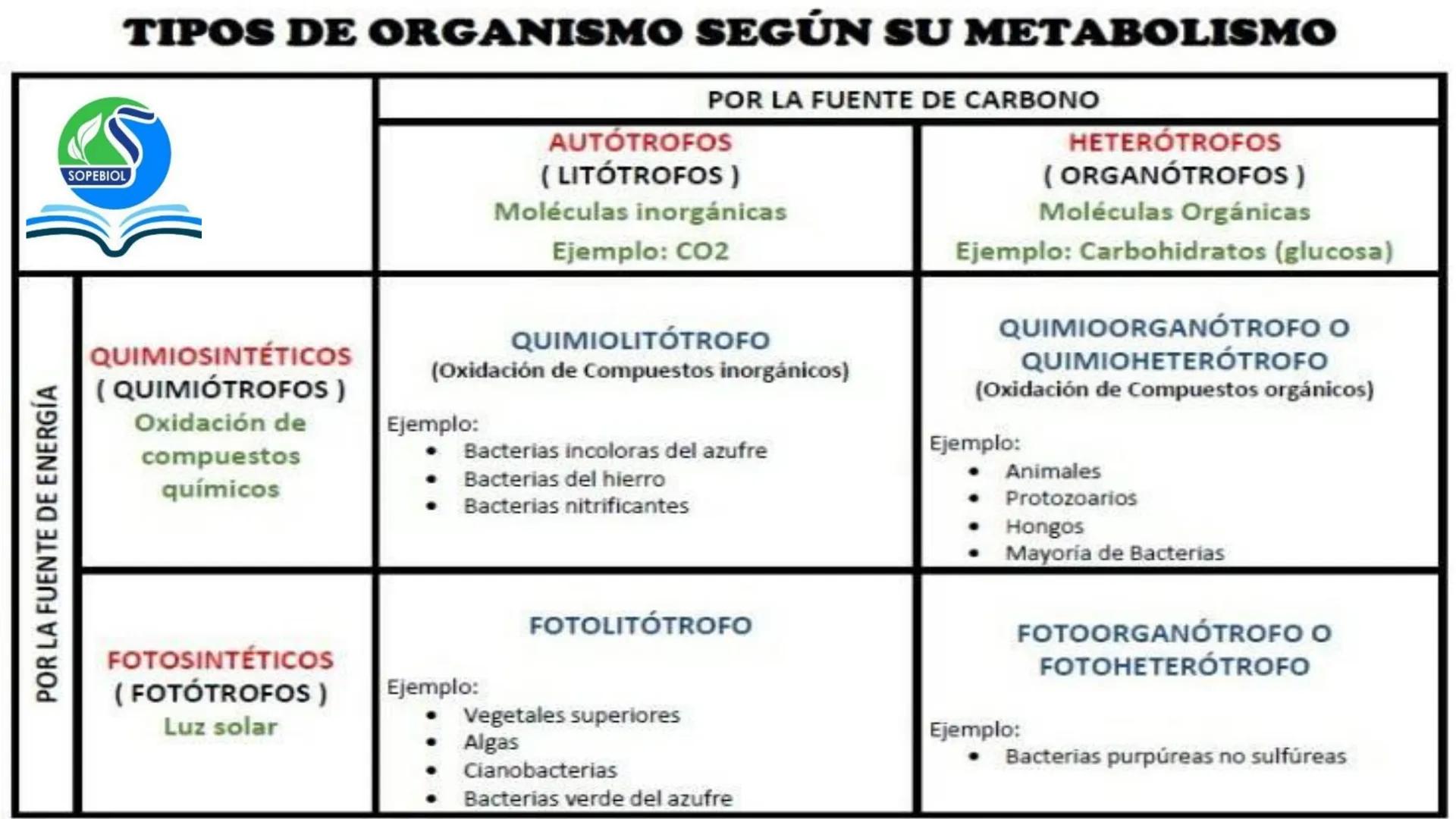 SOPEBIOL
SOCIEDAD PERUANA
DE EDUCADORES
DE BIOLOGÍA
SIENCIAS
DIGESTIÓN
ANIMAL-HUMANA
Lic. Max Alan Obregón Sánchez # AUTÓTROFO
VS
# FO