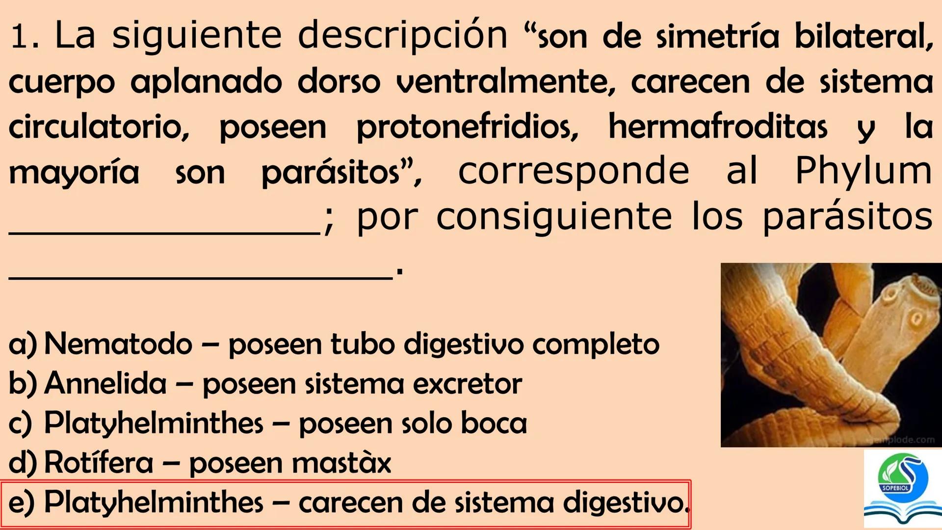 SOPEBIOL
SOCIEDAD PERUANA
DE EDUCADORES
DE BIOLOGÍA
SIENCIAS
DIGESTIÓN
ANIMAL-HUMANA
Lic. Max Alan Obregón Sánchez # AUTÓTROFO
VS
# FO