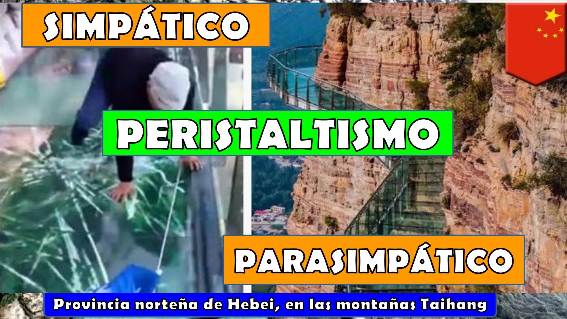 SOPEBIOL
SOCIEDAD PERUANA
DE EDUCADORES
DE BIOLOGÍA
SIENCIAS
DIGESTIÓN
ANIMAL-HUMANA
Lic. Max Alan Obregón Sánchez # AUTÓTROFO
VS
# FO
