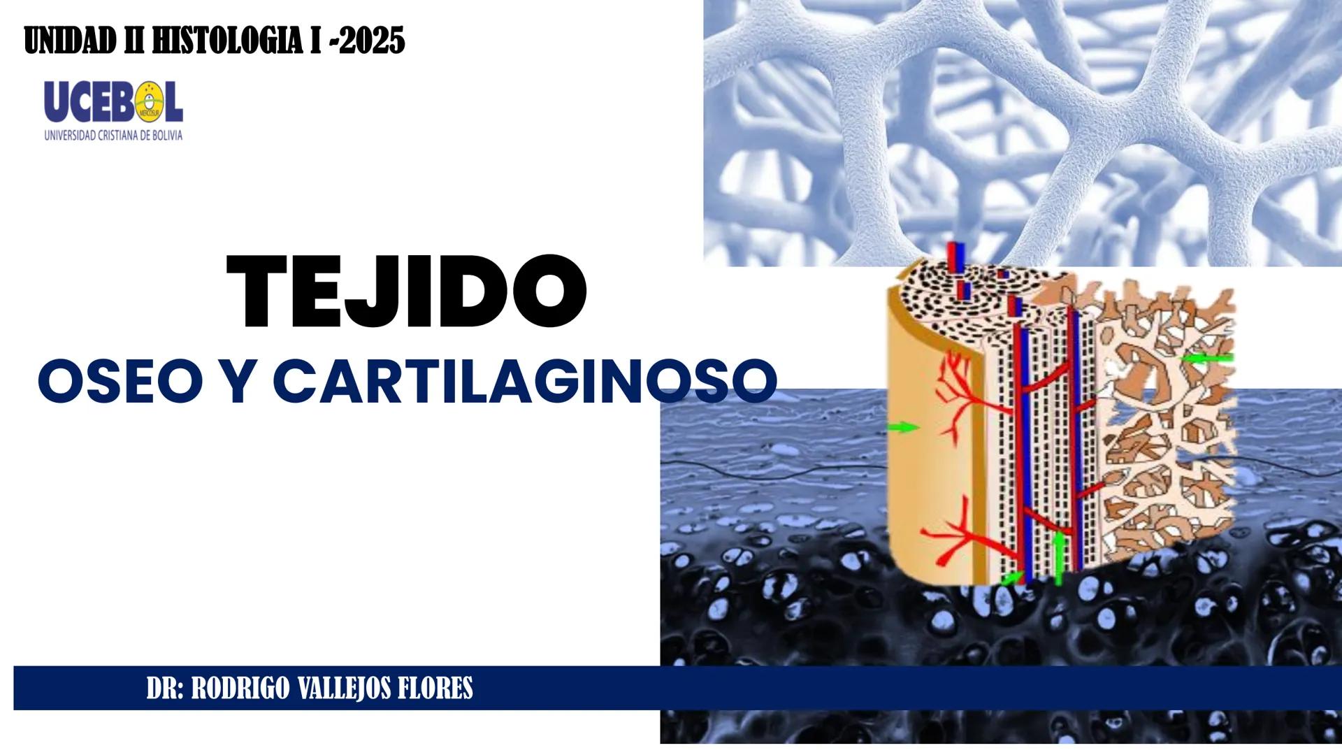 UNIDAD II HISTOLOGIA I -2025
UCEBOL
MERCOSUR
UNIVERSIDAD CRISTIANA DE BOLIVIA
TEJIDO
OSEO Y CARTILAGINOSO
DR: RODRIGO VALLEJOS FLORES # T