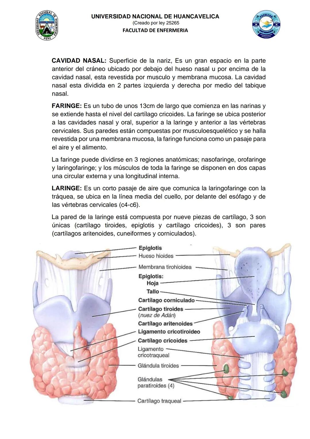 # UNIVERSIDAD NACIONAL DE HUANCAVELICA
(Creado por ley 25265
FACULTAD DE ENFERMERIA
# GUIA DE PRACTICA N° 06
## I. INFORMACION GENERAL:
1