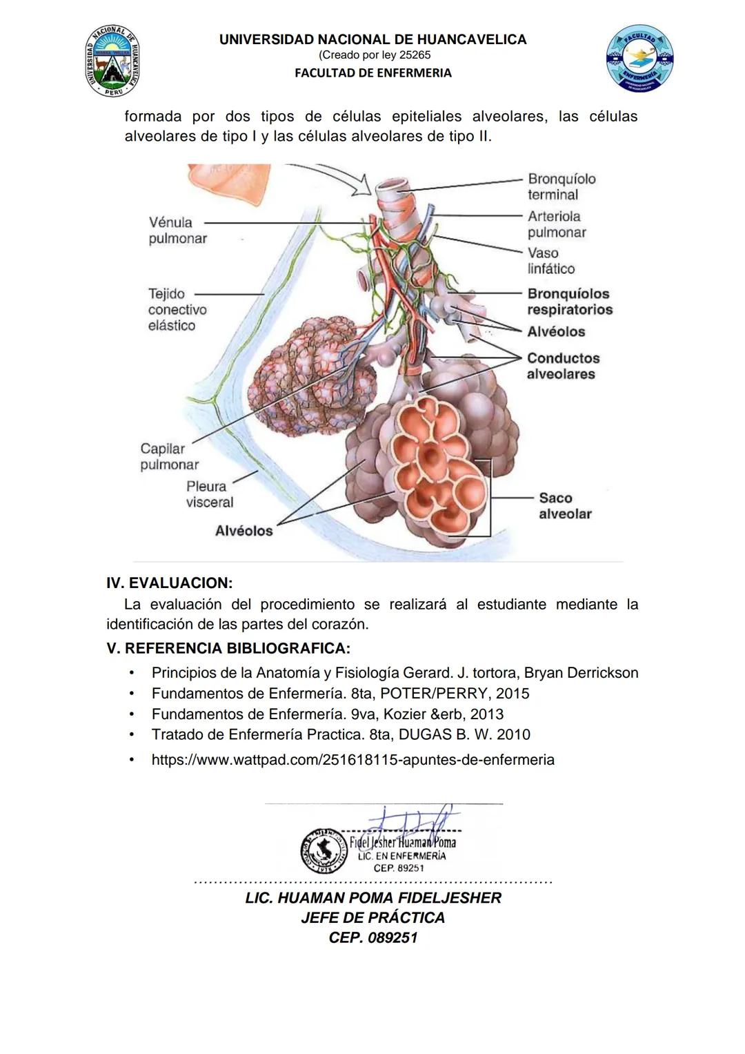 # UNIVERSIDAD NACIONAL DE HUANCAVELICA
(Creado por ley 25265
FACULTAD DE ENFERMERIA
# GUIA DE PRACTICA N° 06
## I. INFORMACION GENERAL:
1