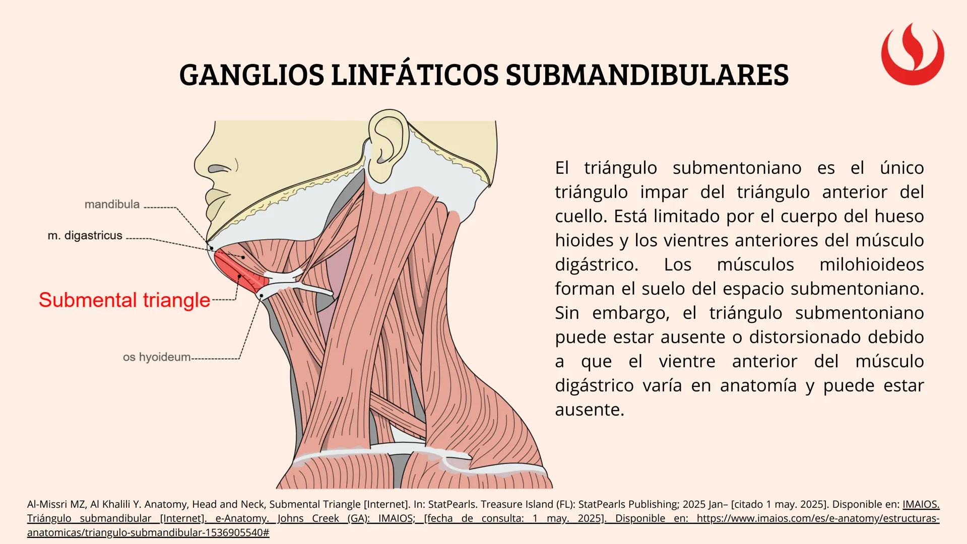 8
EXAMEN
EXTRAORAL
FUNDAMENTOS DE ODONTOLOGÍA 2 2025-2
Elaborado por;: Marco Antonio Avila Villalobos en base a la presentación del curs