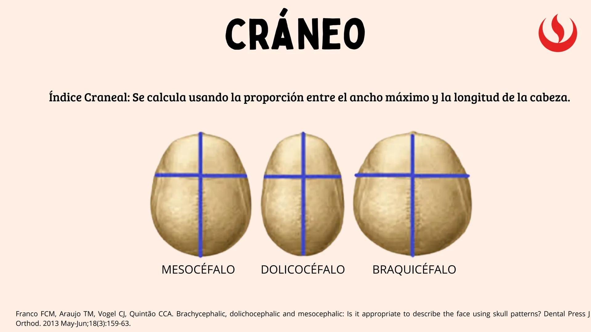 8
EXAMEN
EXTRAORAL
FUNDAMENTOS DE ODONTOLOGÍA 2 2025-2
Elaborado por;: Marco Antonio Avila Villalobos en base a la presentación del curs