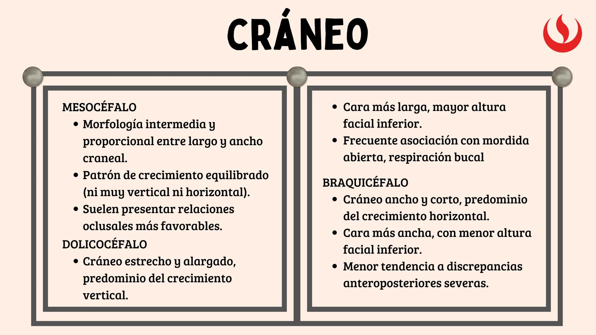 8
EXAMEN
EXTRAORAL
FUNDAMENTOS DE ODONTOLOGÍA 2 2025-2
Elaborado por;: Marco Antonio Avila Villalobos en base a la presentación del curs