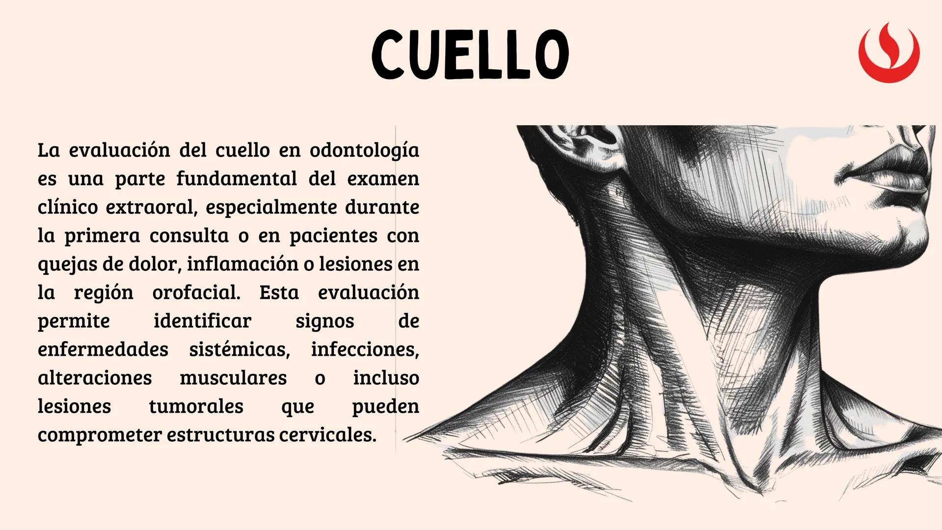8
EXAMEN
EXTRAORAL
FUNDAMENTOS DE ODONTOLOGÍA 2 2025-2
Elaborado por;: Marco Antonio Avila Villalobos en base a la presentación del curs