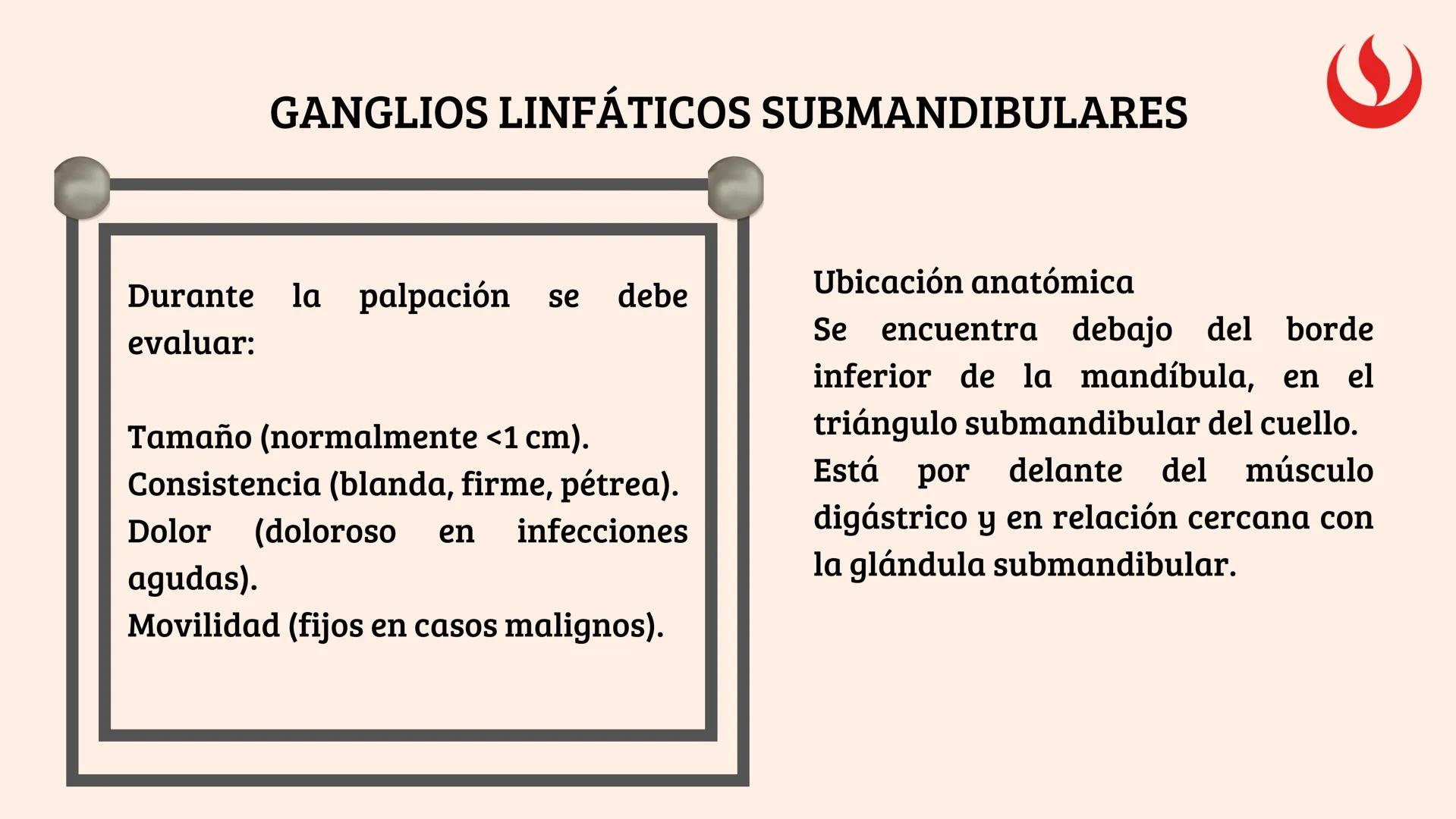 8
EXAMEN
EXTRAORAL
FUNDAMENTOS DE ODONTOLOGÍA 2 2025-2
Elaborado por;: Marco Antonio Avila Villalobos en base a la presentación del curs