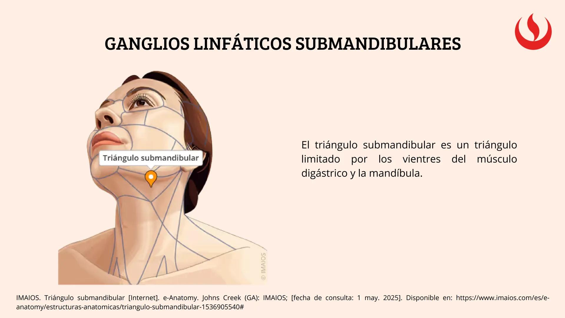 8
EXAMEN
EXTRAORAL
FUNDAMENTOS DE ODONTOLOGÍA 2 2025-2
Elaborado por;: Marco Antonio Avila Villalobos en base a la presentación del curs