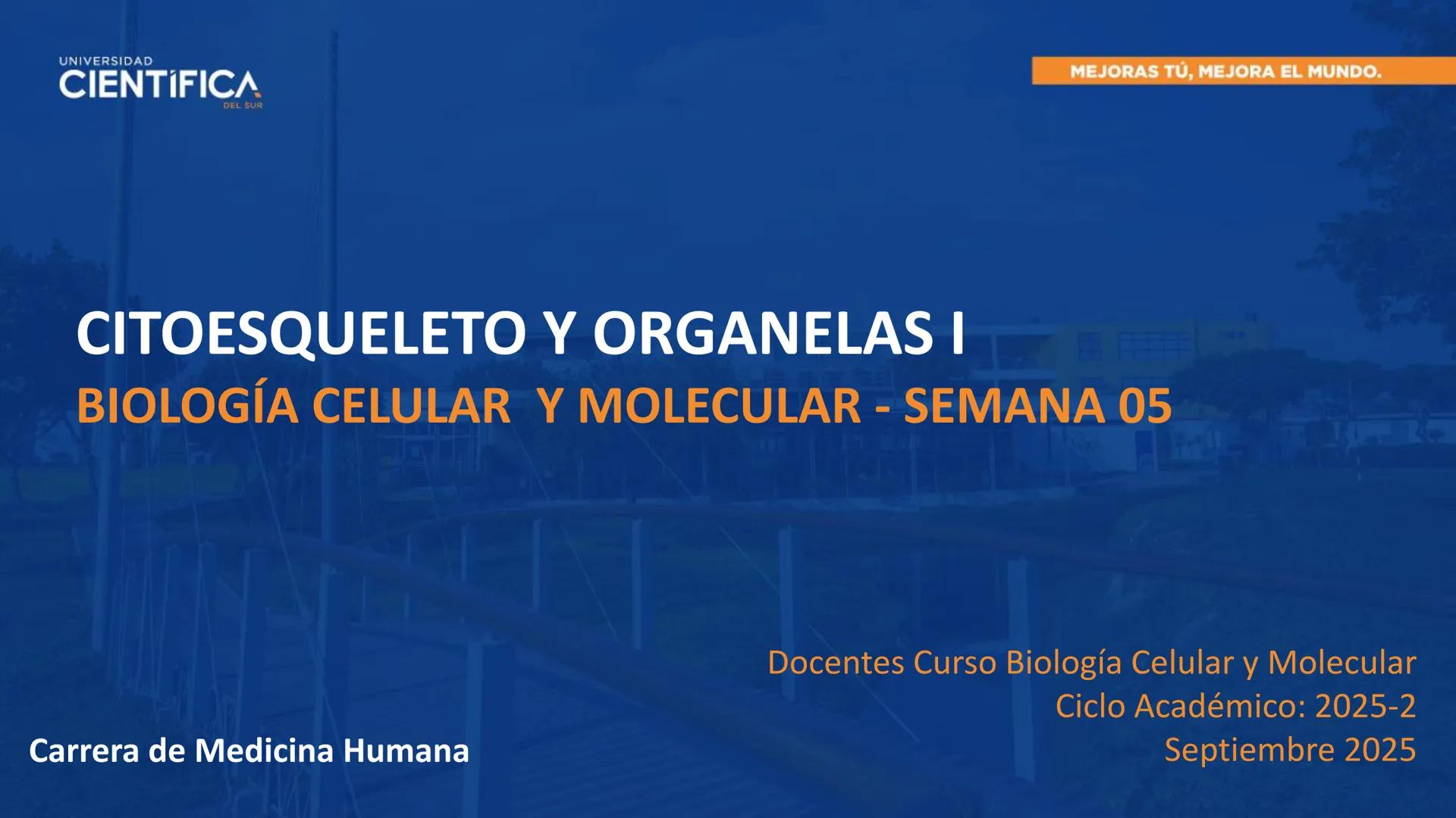 UNIVERSIDAD
CIENTÍFICA
DEL SUR
MEJORAS TÚ, MEJORA EL MUNDO.
CITOESQUELETO Y ORGANELAS I
BIOLOGÍA CELULAR Y MOLECULAR - SEMANA 05
Carrer