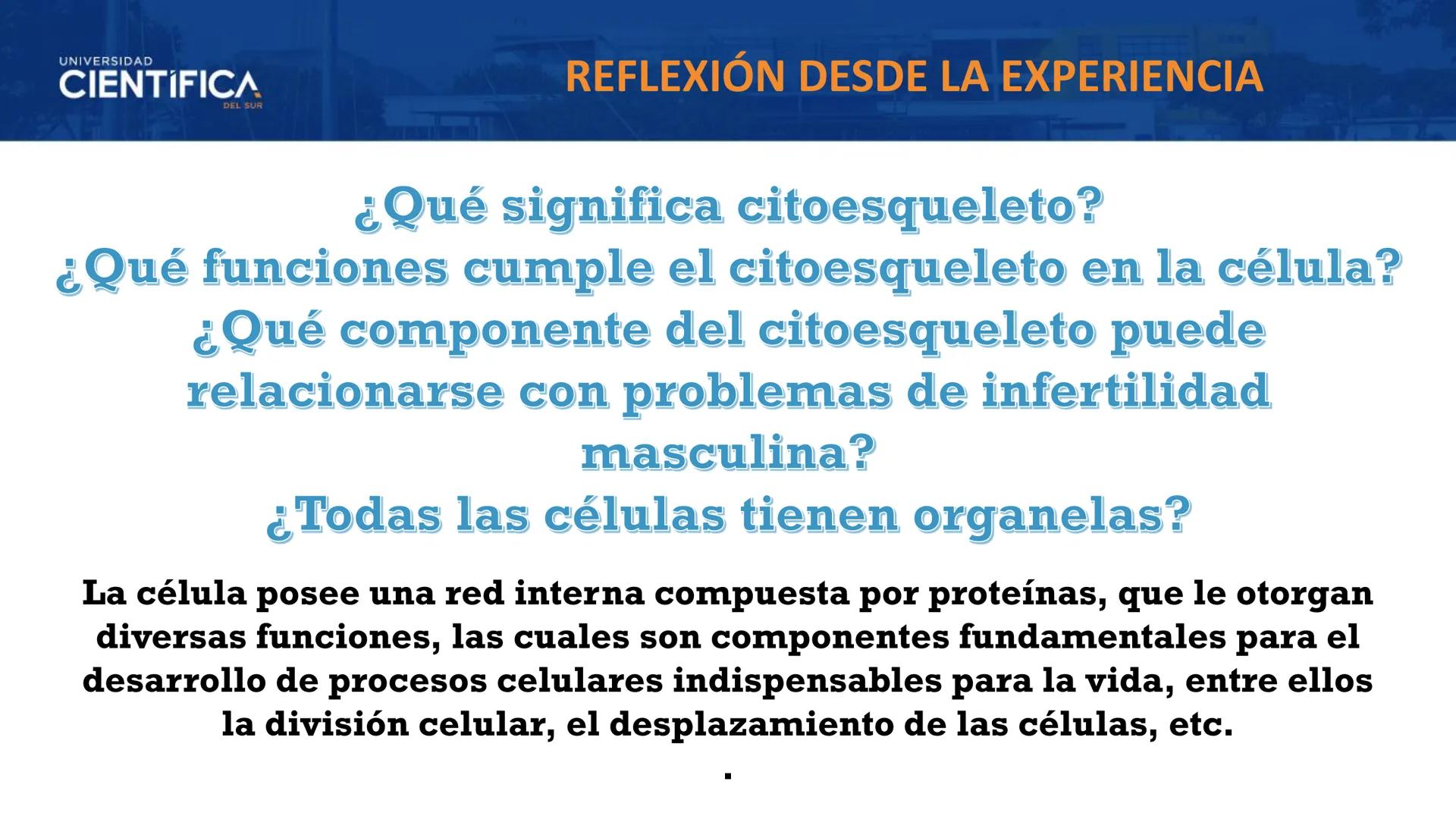 UNIVERSIDAD
CIENTÍFICA
DEL SUR
MEJORAS TÚ, MEJORA EL MUNDO.
CITOESQUELETO Y ORGANELAS I
BIOLOGÍA CELULAR Y MOLECULAR - SEMANA 05
Carrer