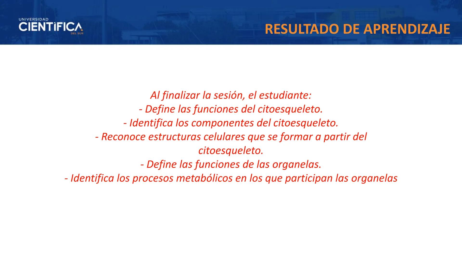 UNIVERSIDAD
CIENTÍFICA
DEL SUR
MEJORAS TÚ, MEJORA EL MUNDO.
CITOESQUELETO Y ORGANELAS I
BIOLOGÍA CELULAR Y MOLECULAR - SEMANA 05
Carrer