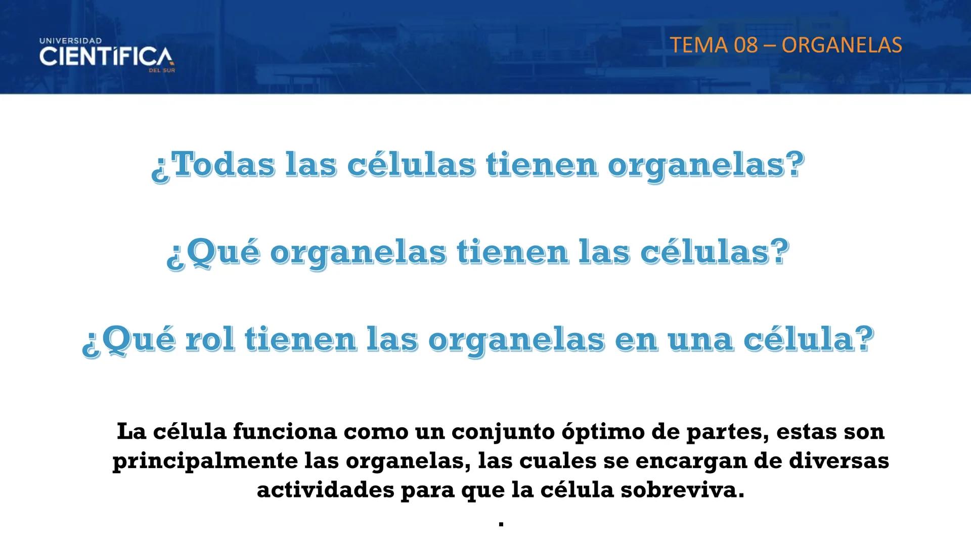 UNIVERSIDAD
CIENTÍFICA
DEL SUR
MEJORAS TÚ, MEJORA EL MUNDO.
CITOESQUELETO Y ORGANELAS I
BIOLOGÍA CELULAR Y MOLECULAR - SEMANA 05
Carrer