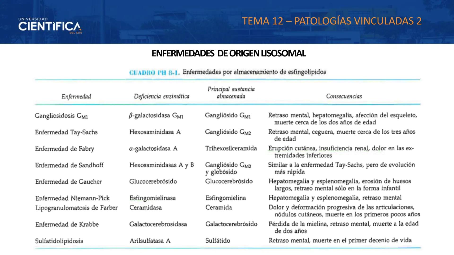 UNIVERSIDAD
CIENTÍFICA
DEL SUR
MEJORAS TÚ, MEJORA EL MUNDO.
CITOESQUELETO Y ORGANELAS I
BIOLOGÍA CELULAR Y MOLECULAR - SEMANA 05
Carrer