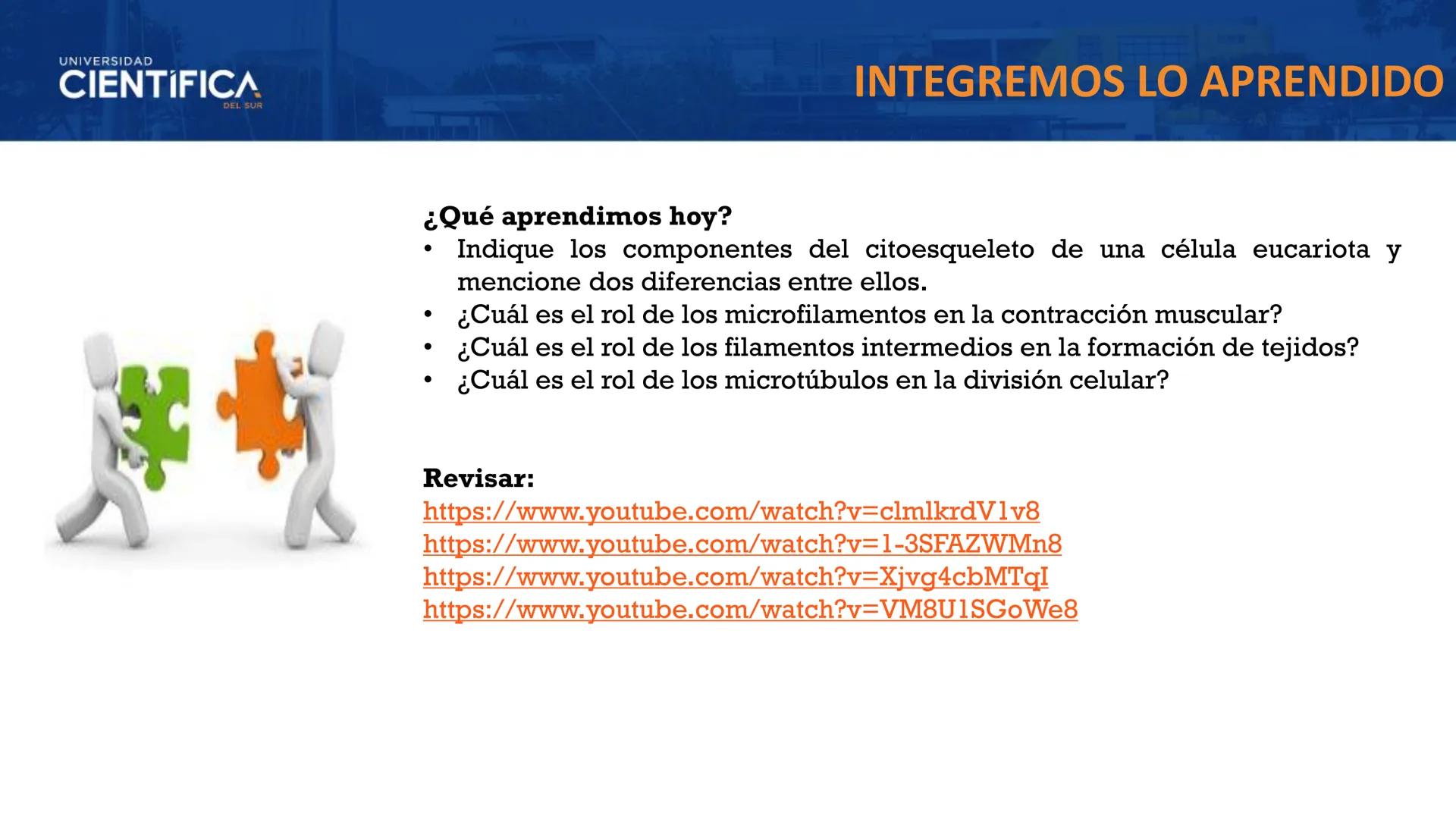 UNIVERSIDAD
CIENTÍFICA
DEL SUR
MEJORAS TÚ, MEJORA EL MUNDO.
CITOESQUELETO Y ORGANELAS I
BIOLOGÍA CELULAR Y MOLECULAR - SEMANA 05
Carrer