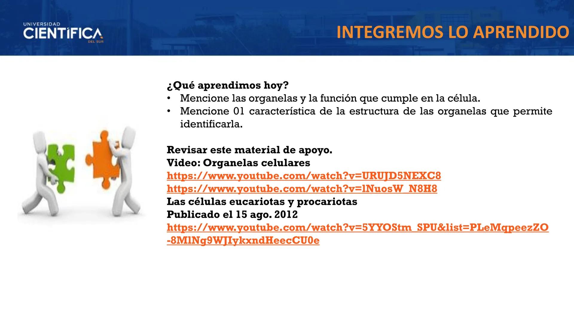 UNIVERSIDAD
CIENTÍFICA
DEL SUR
MEJORAS TÚ, MEJORA EL MUNDO.
CITOESQUELETO Y ORGANELAS I
BIOLOGÍA CELULAR Y MOLECULAR - SEMANA 05
Carrer