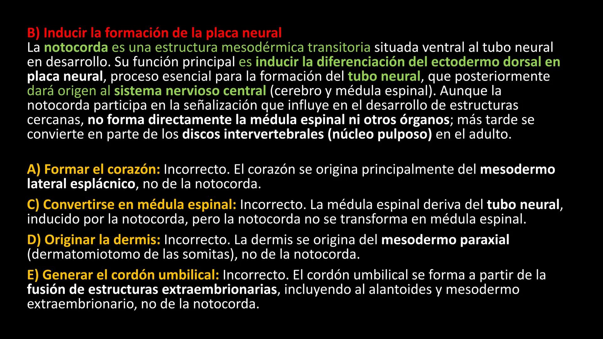 # Ceprebicentenario
Cap 1. Octubre 2025 - Ciclo intensivo - 01. Durante la fecundación, el momento en que el espermatozoide
logra atravesar