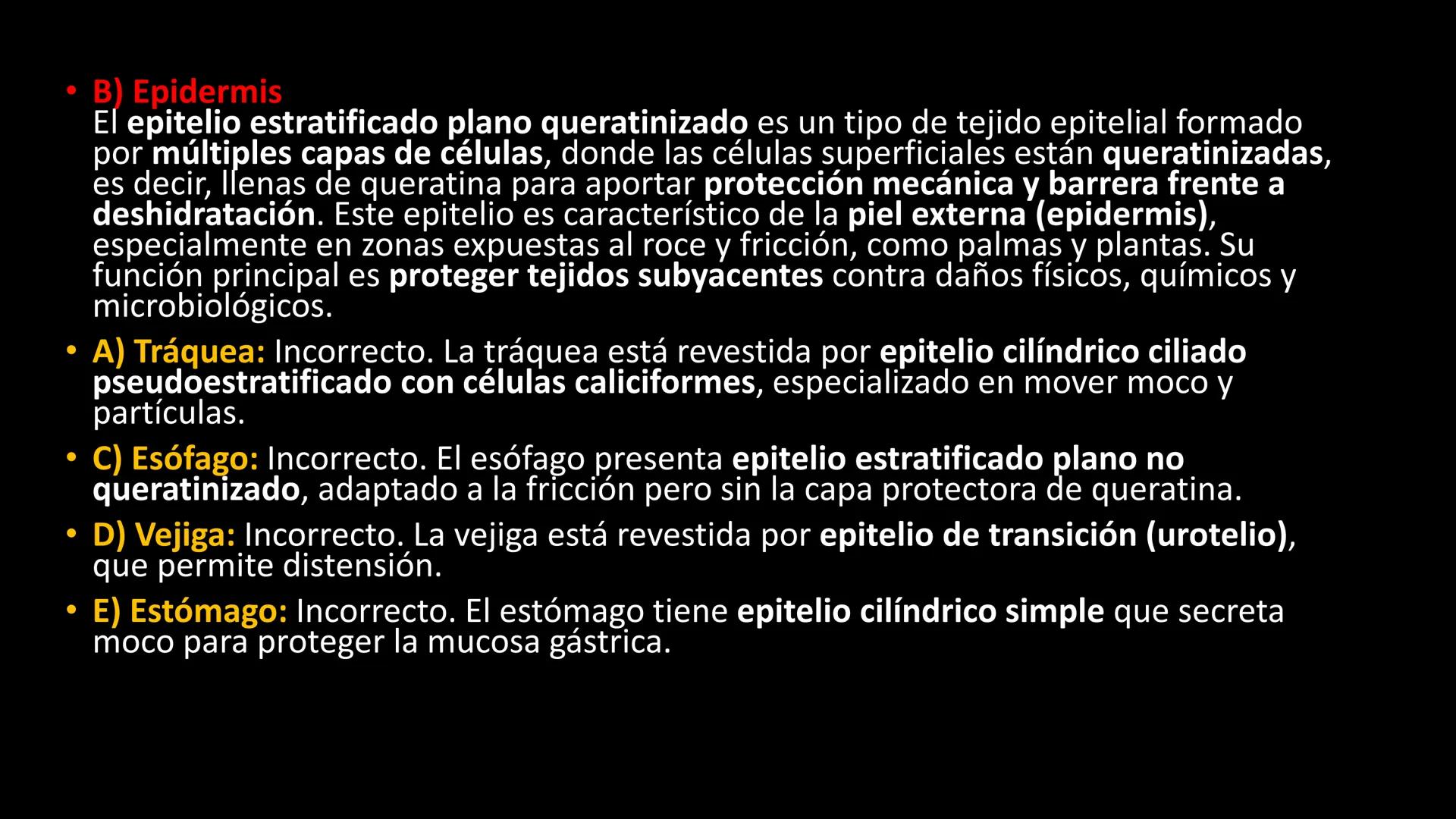 # Ceprebicentenario
Cap 1. Octubre 2025 - Ciclo intensivo - 01. Durante la fecundación, el momento en que el espermatozoide
logra atravesar
