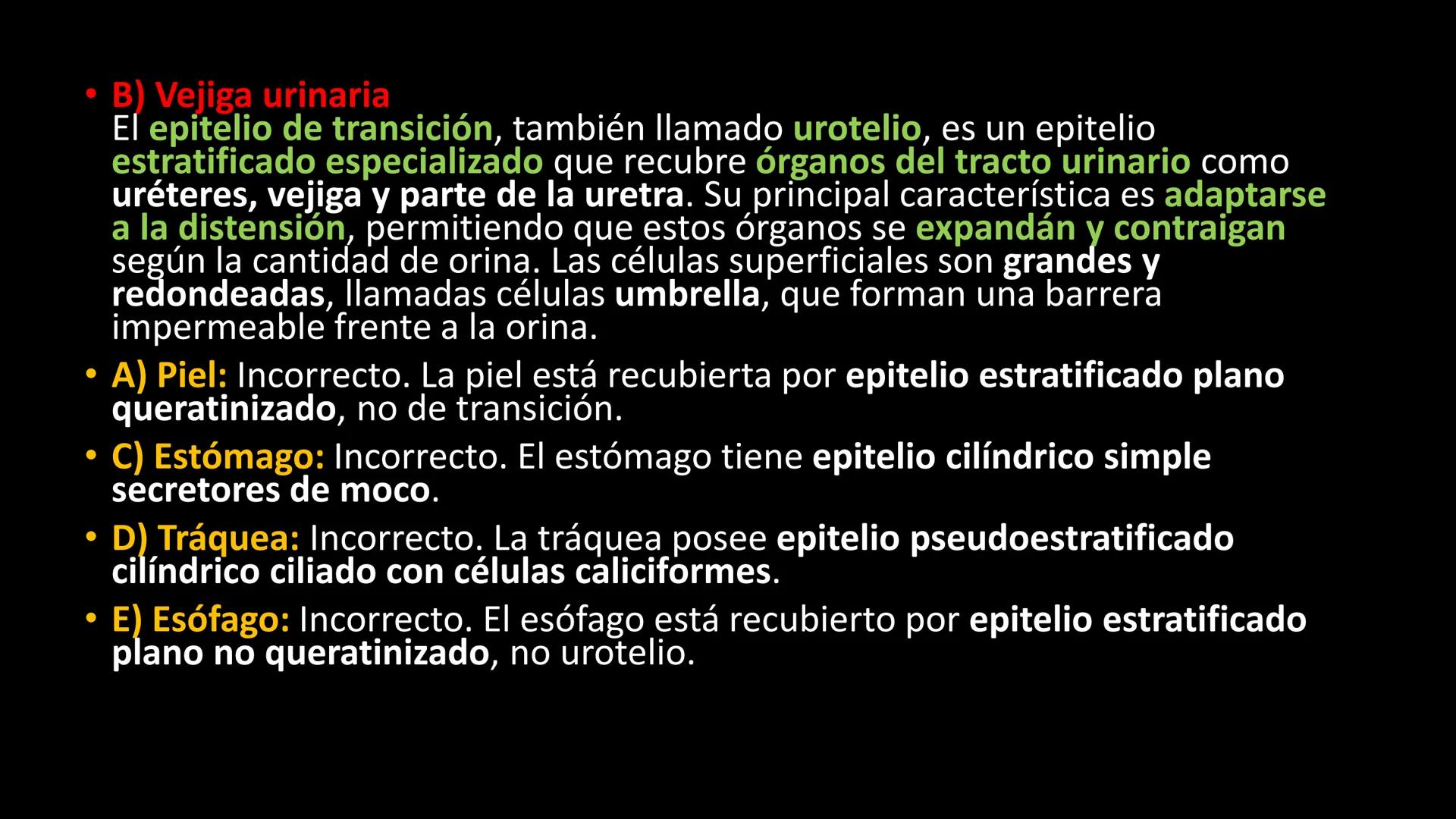 # Ceprebicentenario
Cap 1. Octubre 2025 - Ciclo intensivo - 01. Durante la fecundación, el momento en que el espermatozoide
logra atravesar