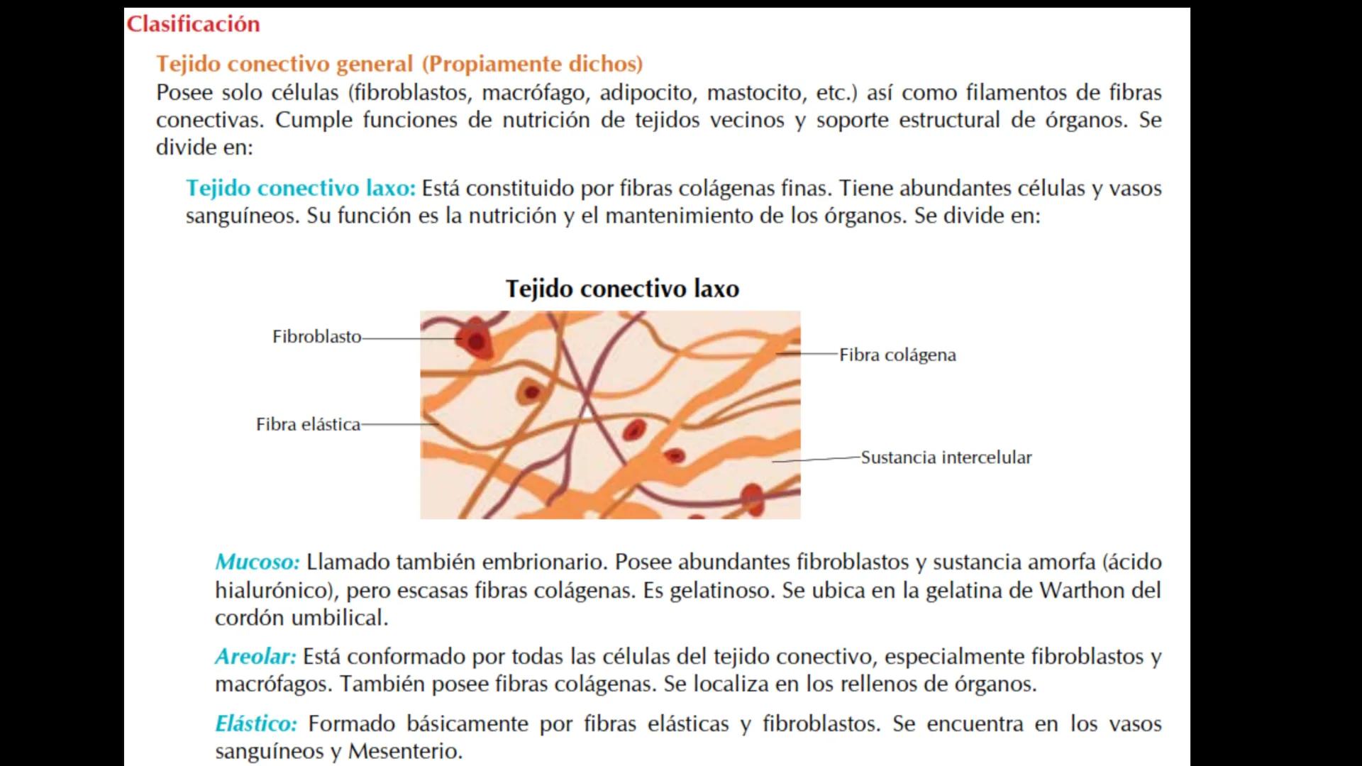 # Ceprebicentenario
Cap 1. Octubre 2025 - Ciclo intensivo - 01. Durante la fecundación, el momento en que el espermatozoide
logra atravesar