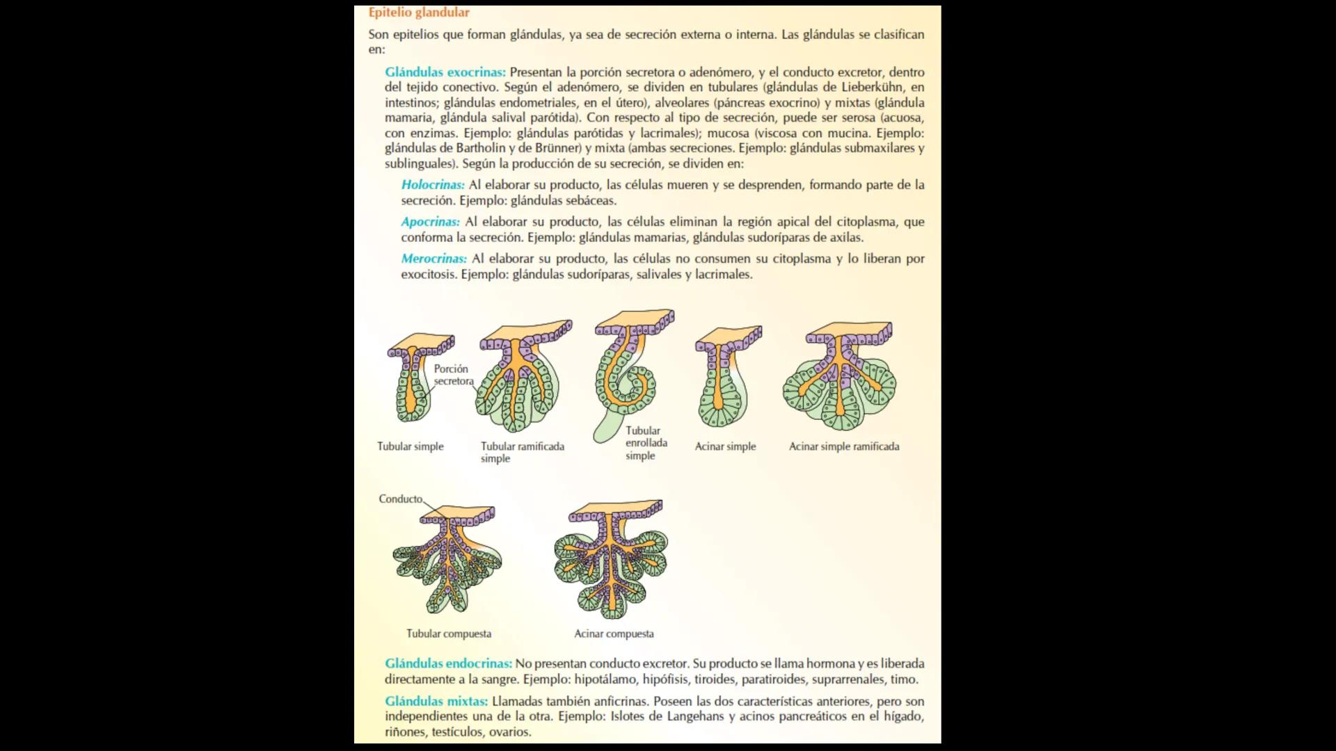 # Ceprebicentenario
Cap 1. Octubre 2025 - Ciclo intensivo - 01. Durante la fecundación, el momento en que el espermatozoide
logra atravesar