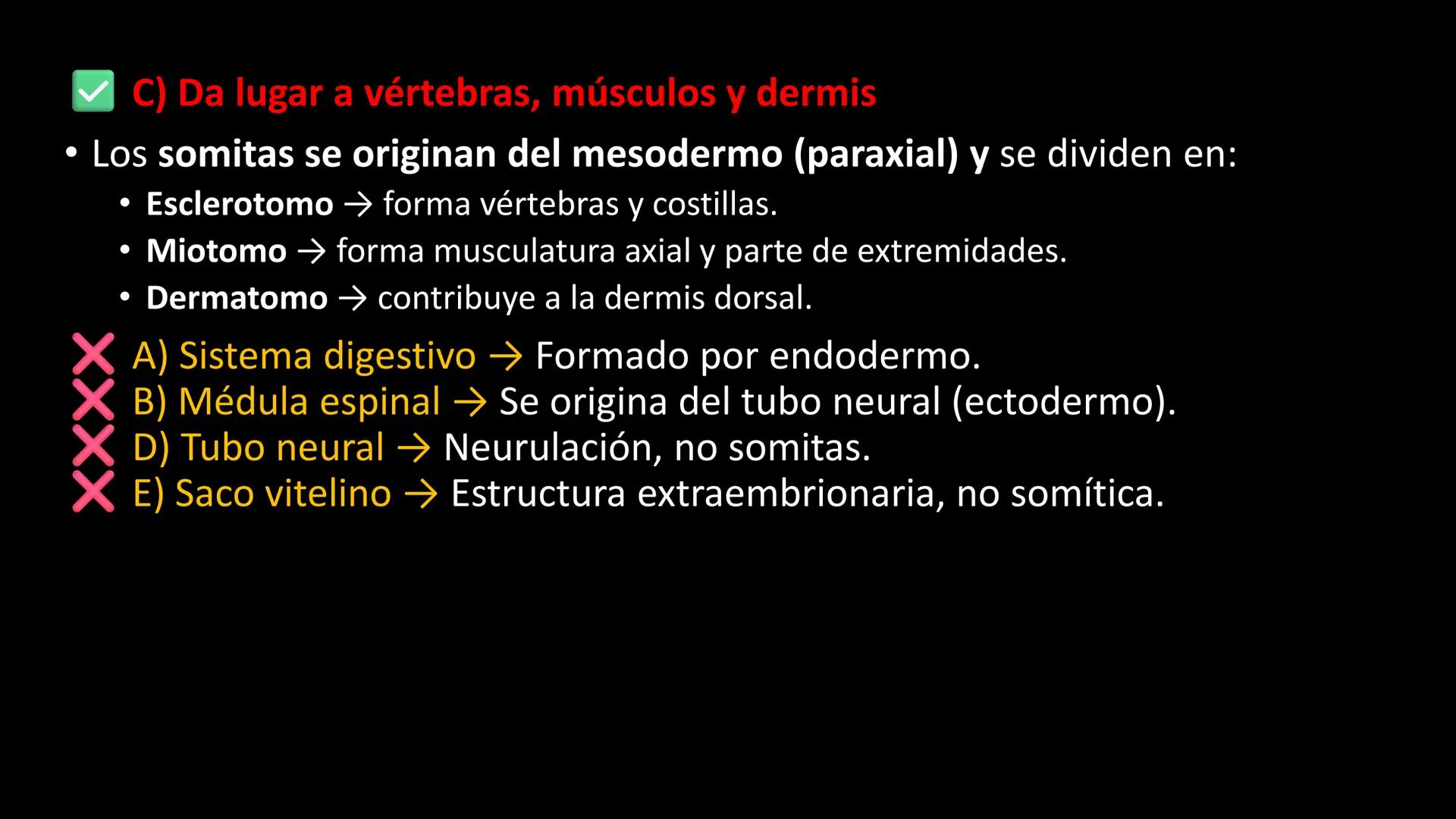 # Ceprebicentenario
Cap 1. Octubre 2025 - Ciclo intensivo - 01. Durante la fecundación, el momento en que el espermatozoide
logra atravesar