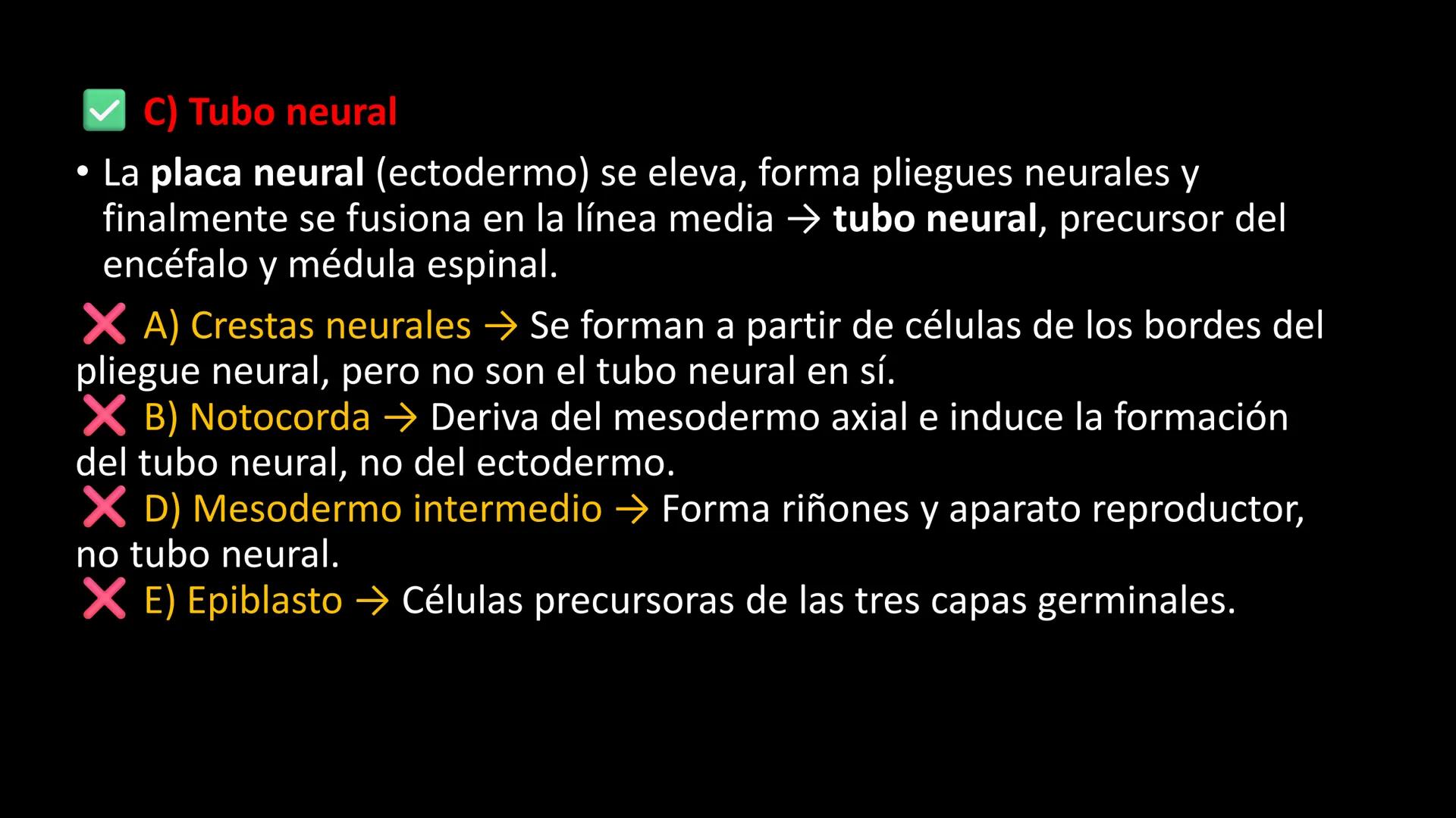 # Ceprebicentenario
Cap 1. Octubre 2025 - Ciclo intensivo - 01. Durante la fecundación, el momento en que el espermatozoide
logra atravesar