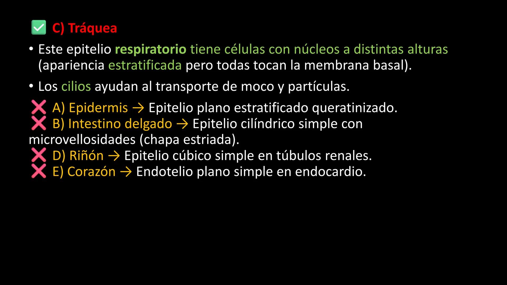 # Ceprebicentenario
Cap 1. Octubre 2025 - Ciclo intensivo - 01. Durante la fecundación, el momento en que el espermatozoide
logra atravesar