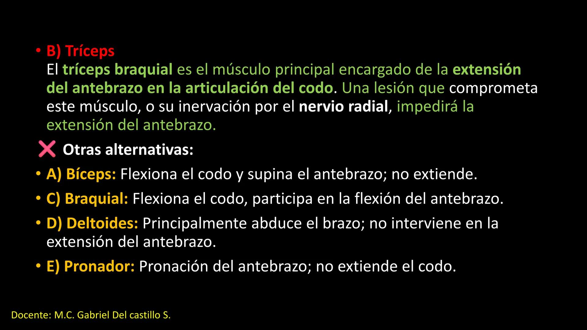 Ceprebicentenario
Cap 2. Octubre 2025 - Ciclo intensivo
Docente: M.C. Gabriel Del castillo S. • 01. El esqueleto axial incluye estructuras