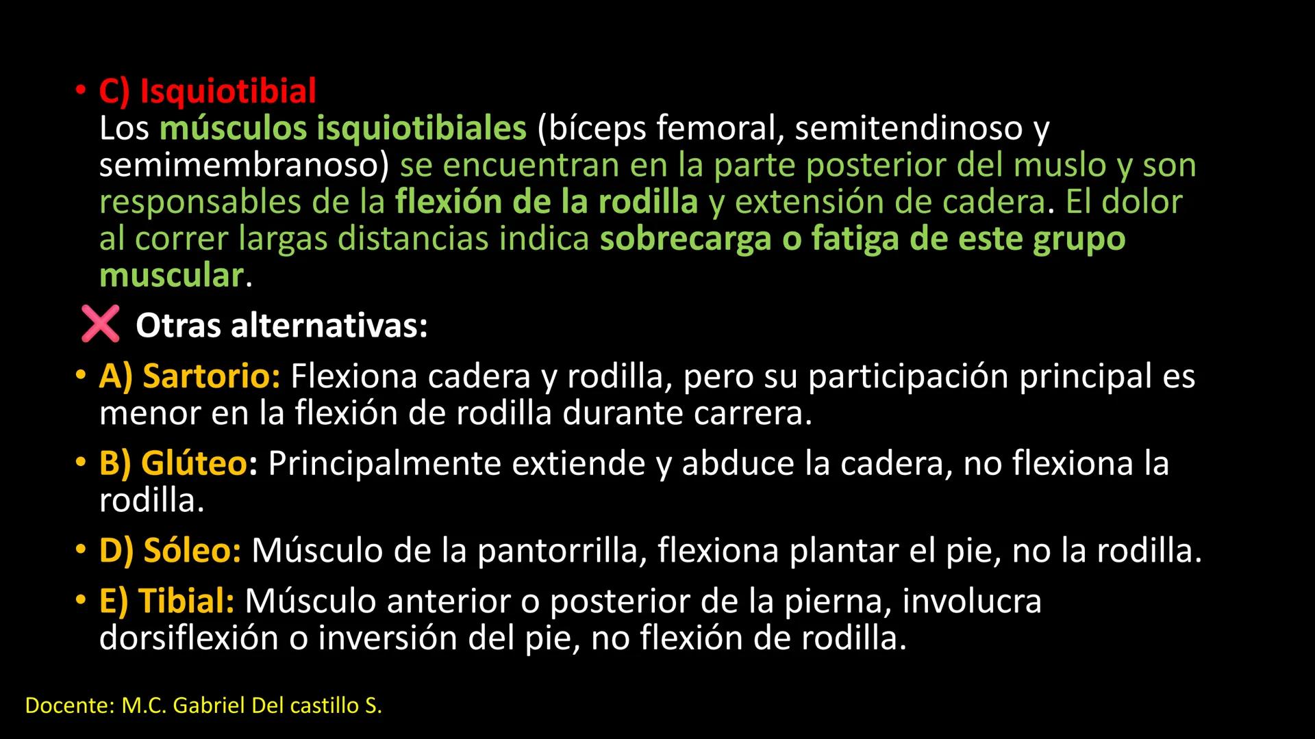 Ceprebicentenario
Cap 2. Octubre 2025 - Ciclo intensivo
Docente: M.C. Gabriel Del castillo S. • 01. El esqueleto axial incluye estructuras