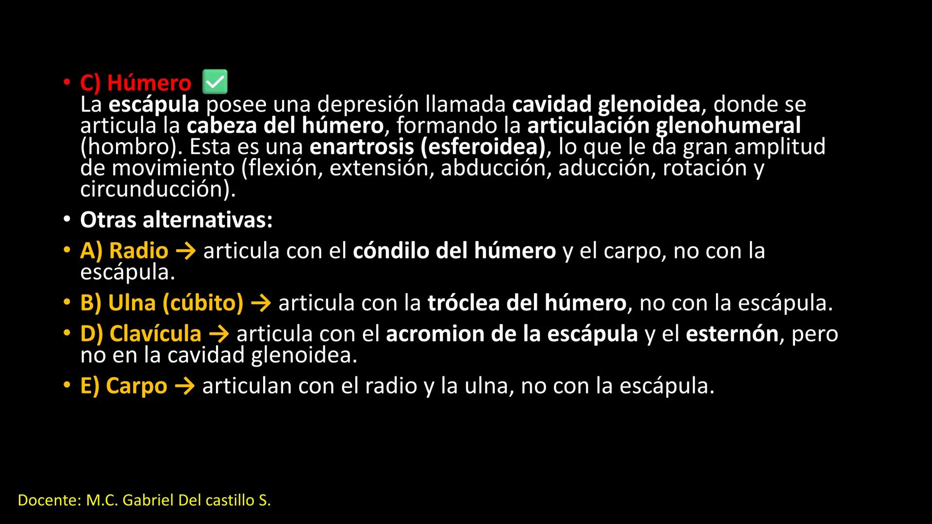 Ceprebicentenario
Cap 2. Octubre 2025 - Ciclo intensivo
Docente: M.C. Gabriel Del castillo S. • 01. El esqueleto axial incluye estructuras