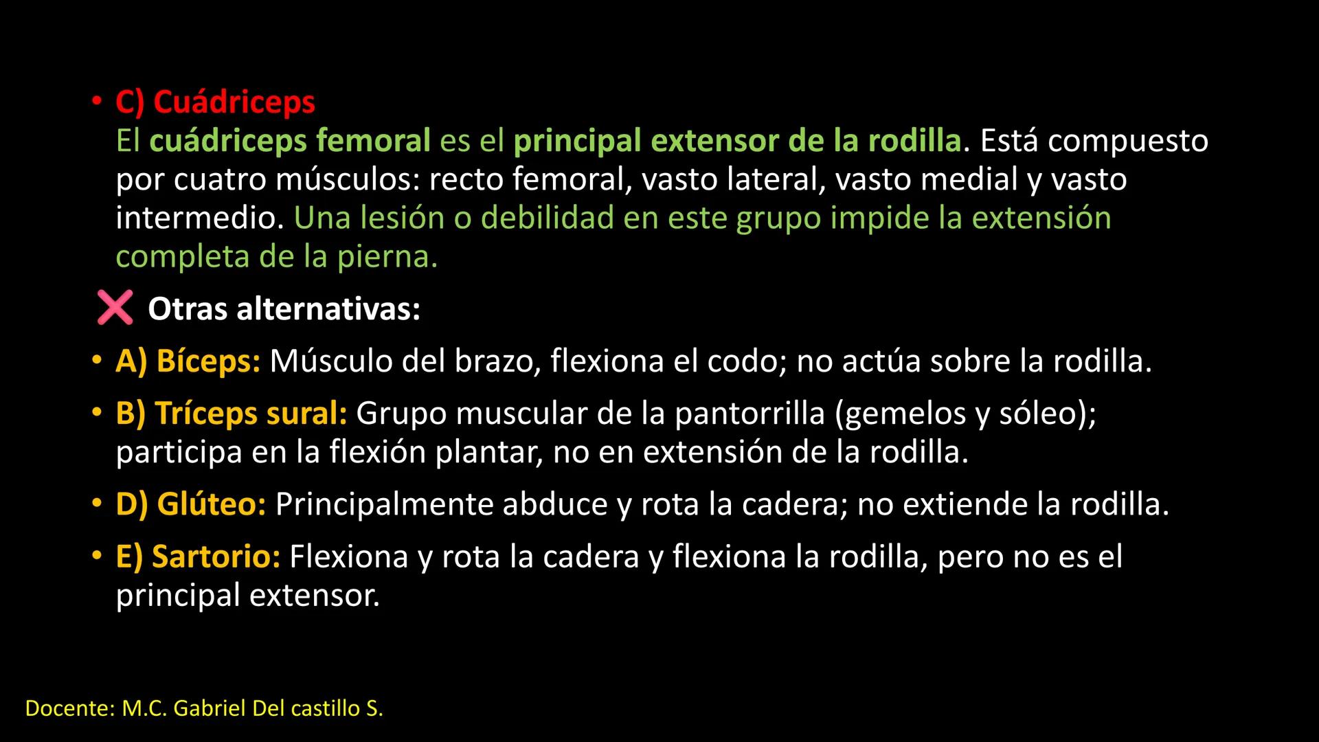 Ceprebicentenario
Cap 2. Octubre 2025 - Ciclo intensivo
Docente: M.C. Gabriel Del castillo S. • 01. El esqueleto axial incluye estructuras