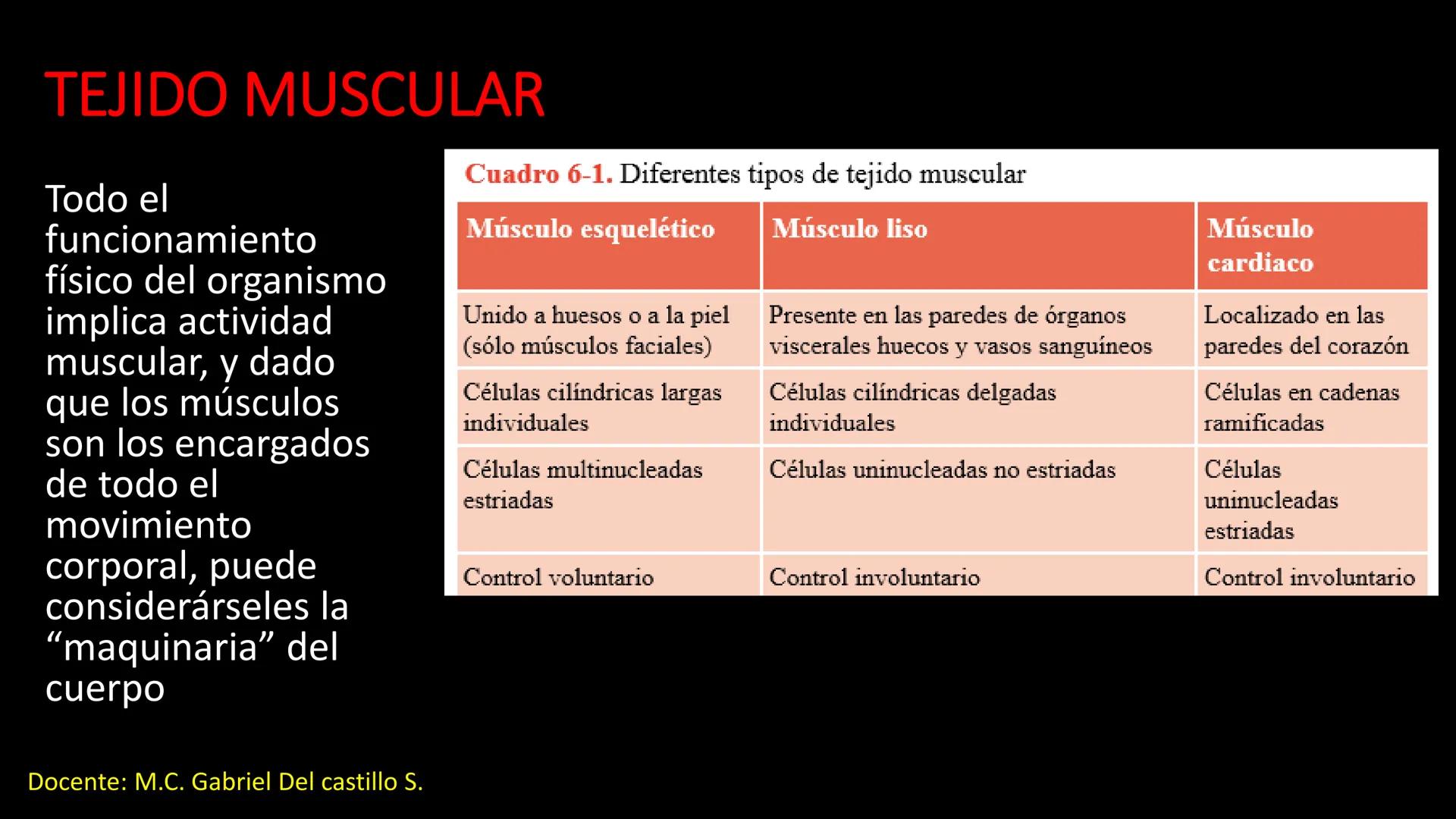 Ceprebicentenario
Cap 2. Octubre 2025 - Ciclo intensivo
Docente: M.C. Gabriel Del castillo S. • 01. El esqueleto axial incluye estructuras