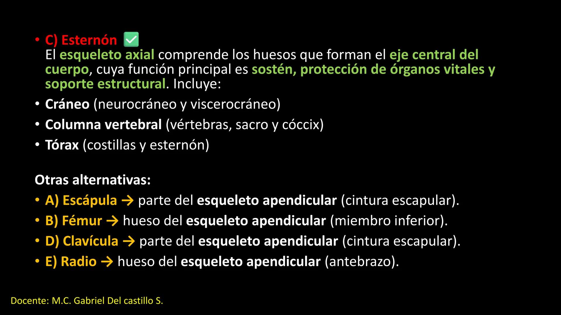 Ceprebicentenario
Cap 2. Octubre 2025 - Ciclo intensivo
Docente: M.C. Gabriel Del castillo S. • 01. El esqueleto axial incluye estructuras
