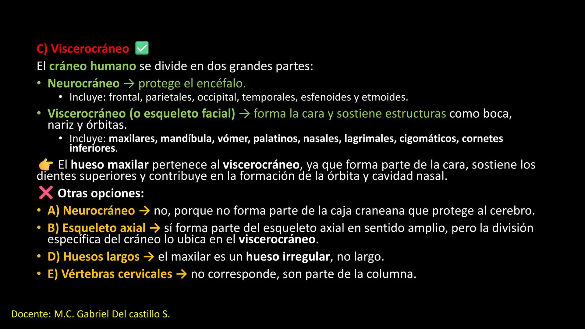 Ceprebicentenario
Cap 2. Octubre 2025 - Ciclo intensivo
Docente: M.C. Gabriel Del castillo S. • 01. El esqueleto axial incluye estructuras