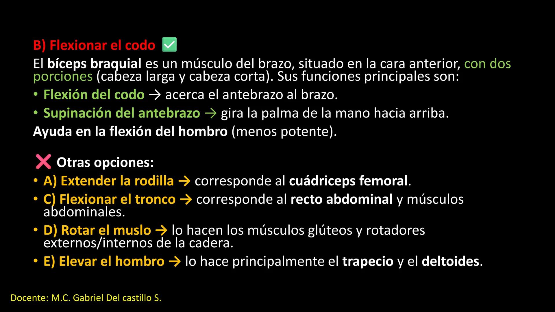 Ceprebicentenario
Cap 2. Octubre 2025 - Ciclo intensivo
Docente: M.C. Gabriel Del castillo S. • 01. El esqueleto axial incluye estructuras