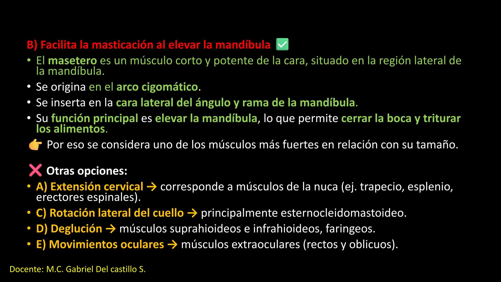 Ceprebicentenario
Cap 2. Octubre 2025 - Ciclo intensivo
Docente: M.C. Gabriel Del castillo S. • 01. El esqueleto axial incluye estructuras