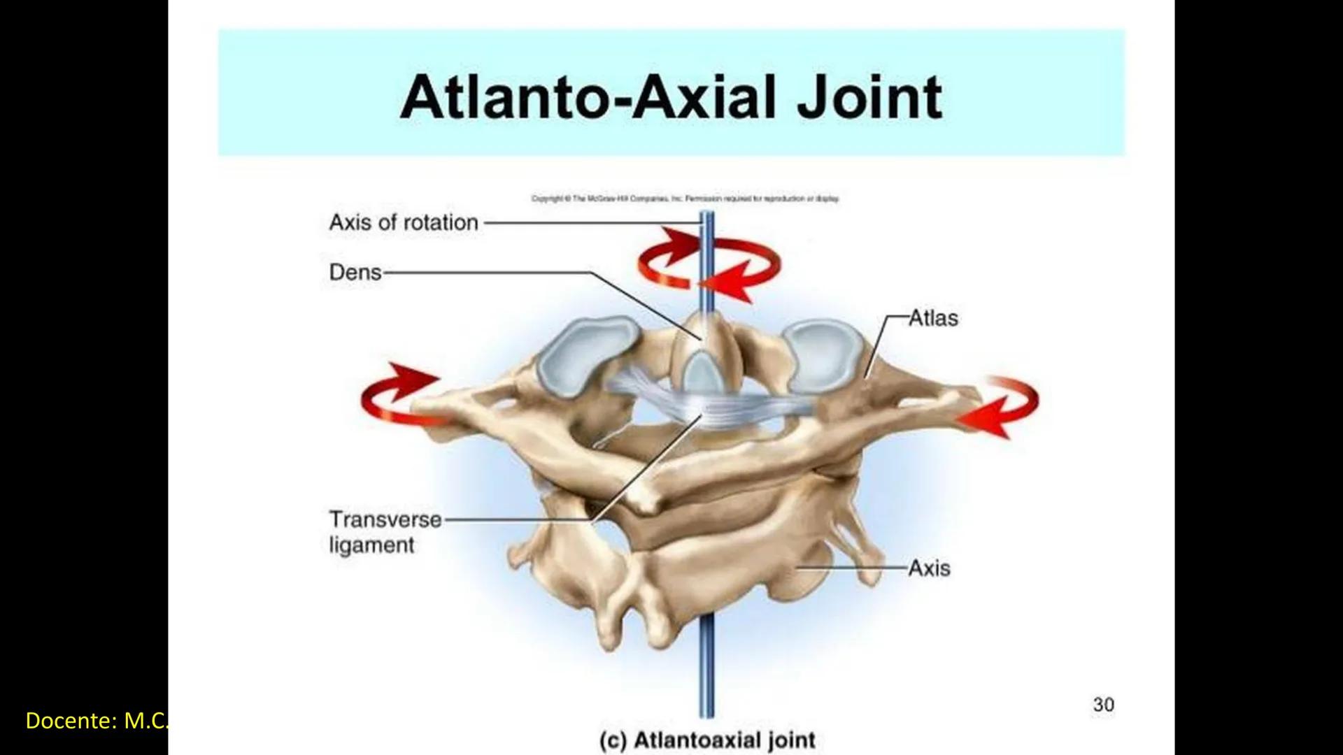 Ceprebicentenario
Cap 2. Octubre 2025 - Ciclo intensivo
Docente: M.C. Gabriel Del castillo S. • 01. El esqueleto axial incluye estructuras