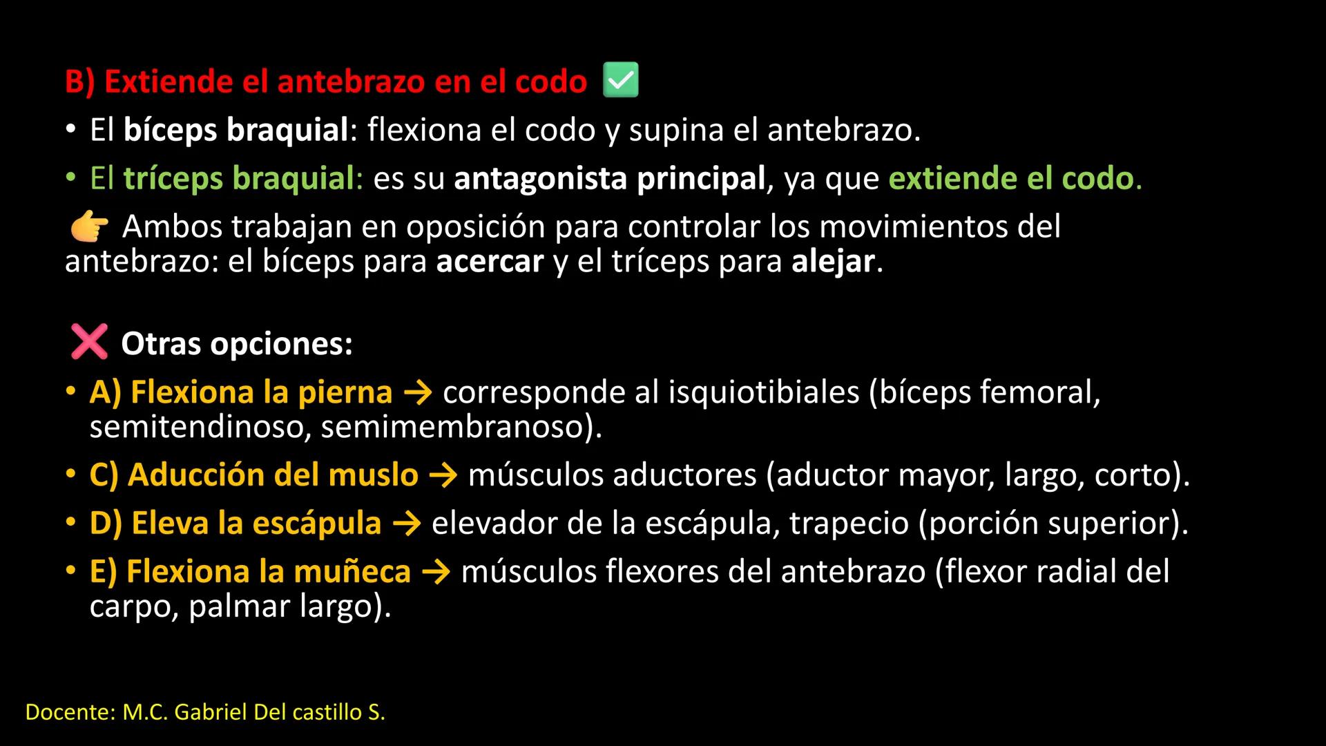 Ceprebicentenario
Cap 2. Octubre 2025 - Ciclo intensivo
Docente: M.C. Gabriel Del castillo S. • 01. El esqueleto axial incluye estructuras