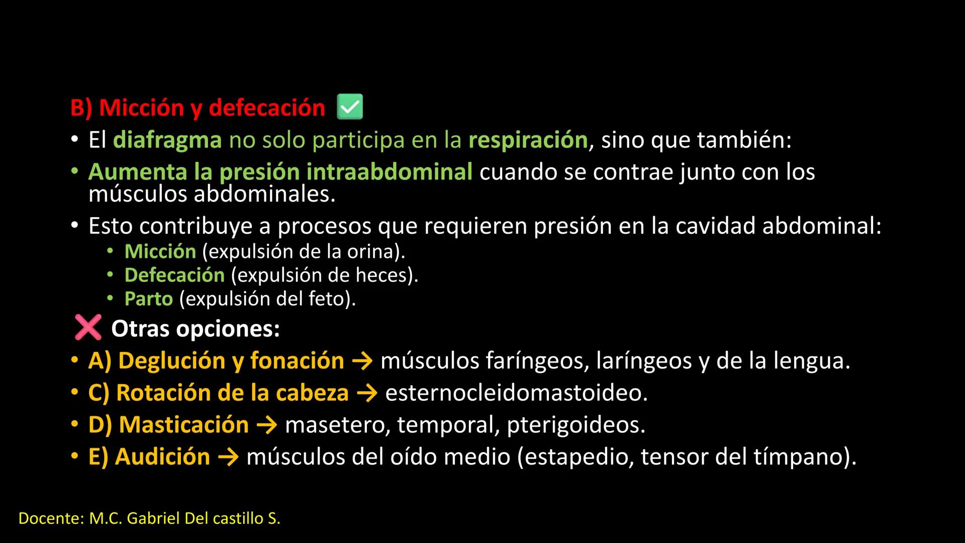 Ceprebicentenario
Cap 2. Octubre 2025 - Ciclo intensivo
Docente: M.C. Gabriel Del castillo S. • 01. El esqueleto axial incluye estructuras