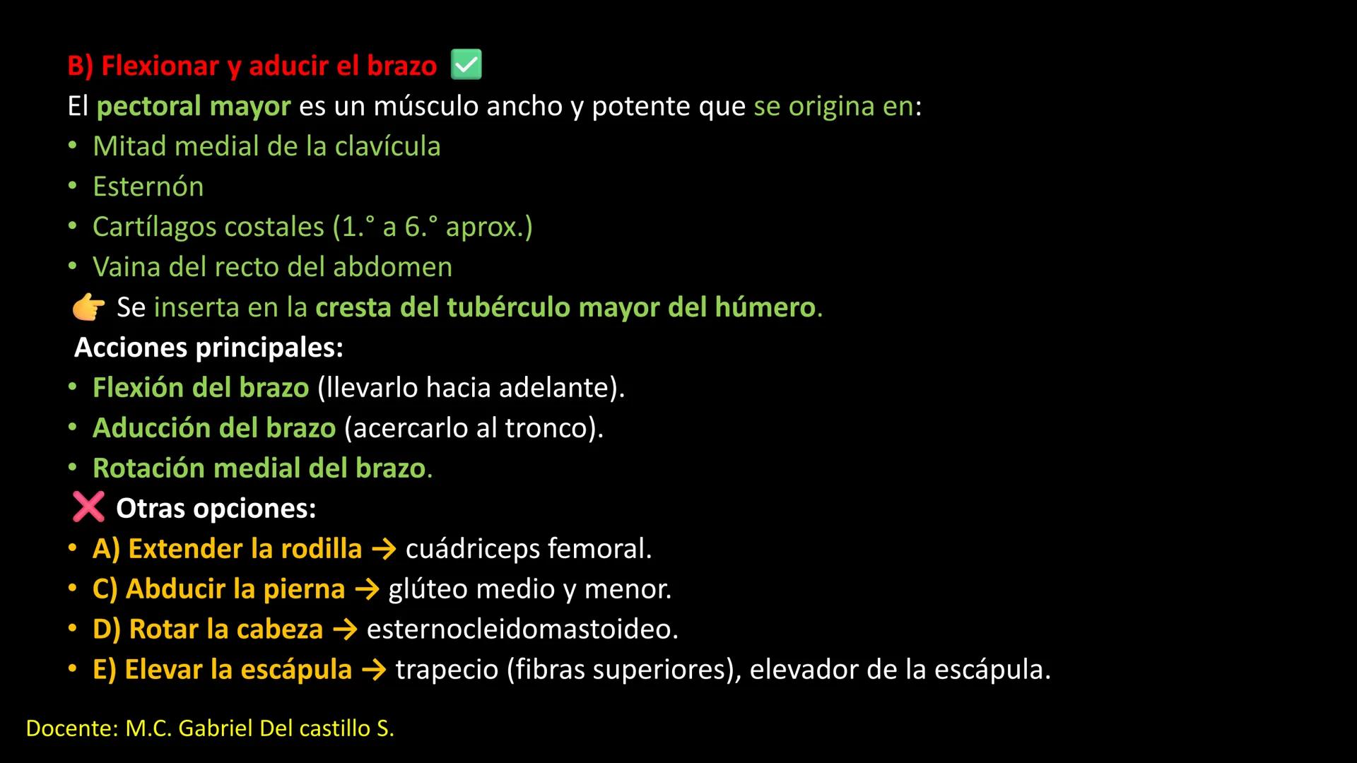 Ceprebicentenario
Cap 2. Octubre 2025 - Ciclo intensivo
Docente: M.C. Gabriel Del castillo S. • 01. El esqueleto axial incluye estructuras
