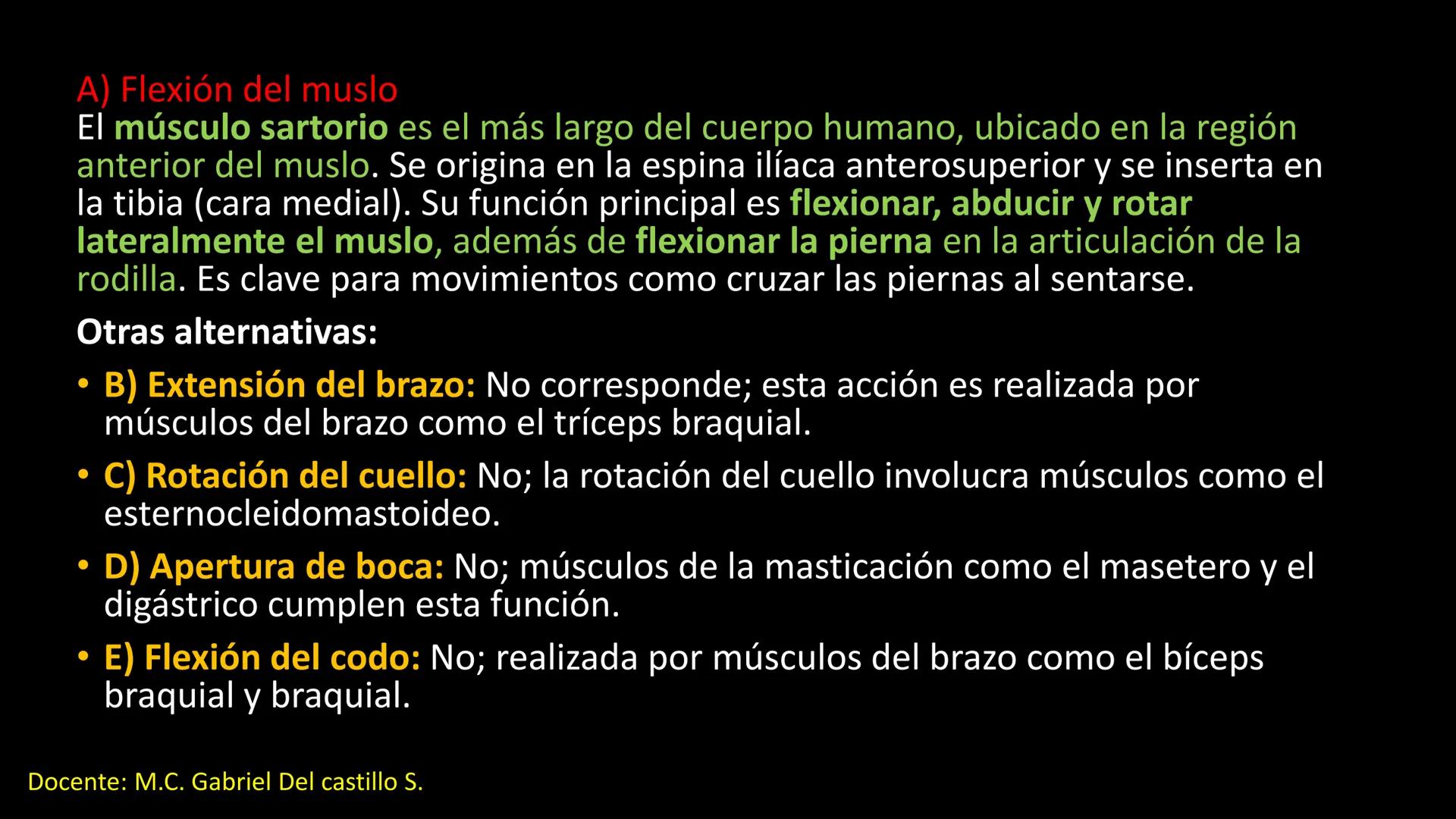 Ceprebicentenario
Cap 2. Octubre 2025 - Ciclo intensivo
Docente: M.C. Gabriel Del castillo S. • 01. El esqueleto axial incluye estructuras