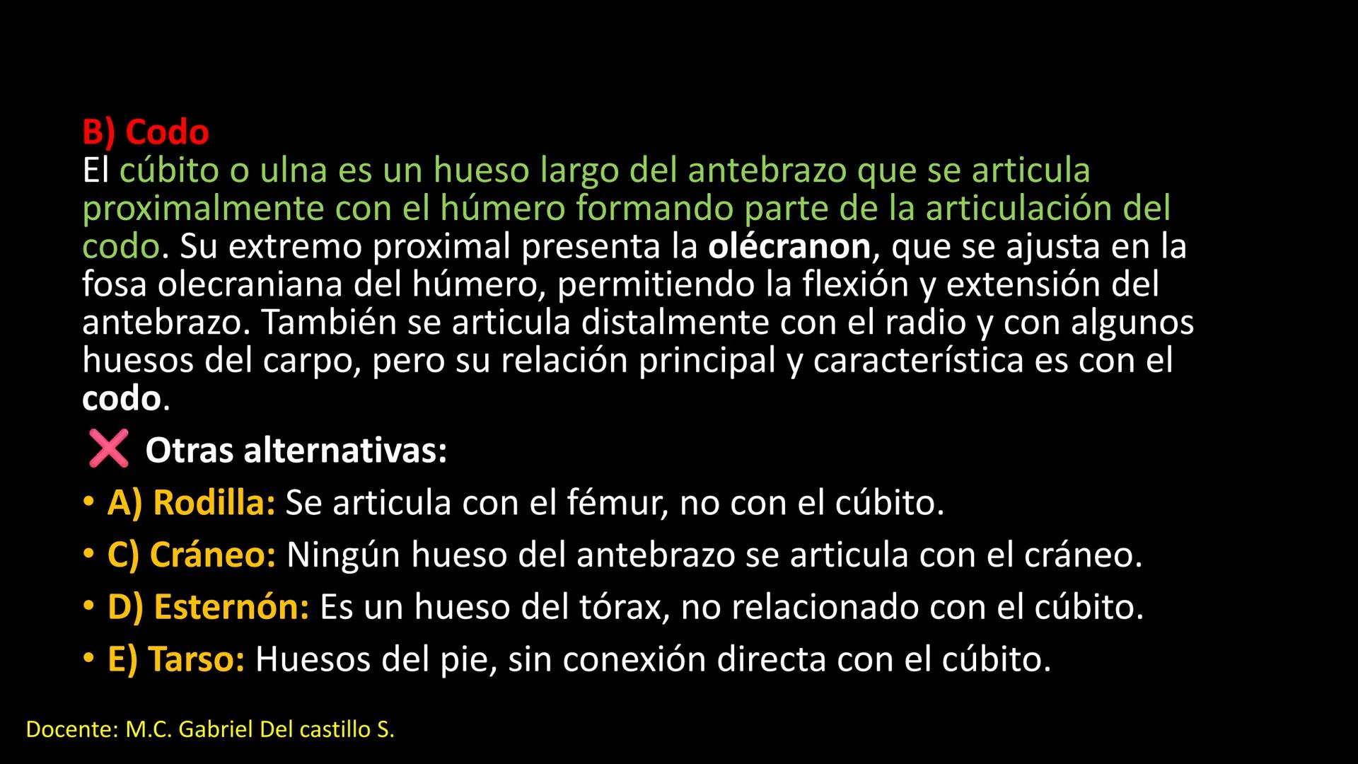 Ceprebicentenario
Cap 2. Octubre 2025 - Ciclo intensivo
Docente: M.C. Gabriel Del castillo S. • 01. El esqueleto axial incluye estructuras