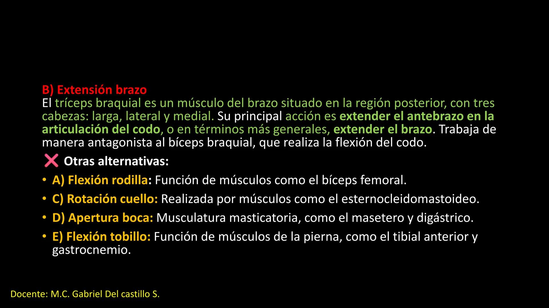 Ceprebicentenario
Cap 2. Octubre 2025 - Ciclo intensivo
Docente: M.C. Gabriel Del castillo S. • 01. El esqueleto axial incluye estructuras